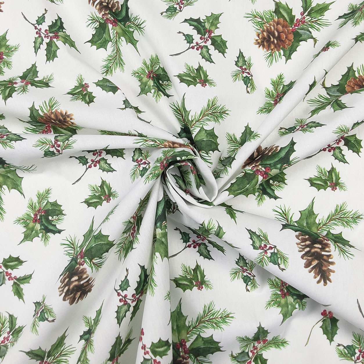 Panama Cotone Natale Agrifoglio h280 Panama Cotone Natale Agrifoglio h280