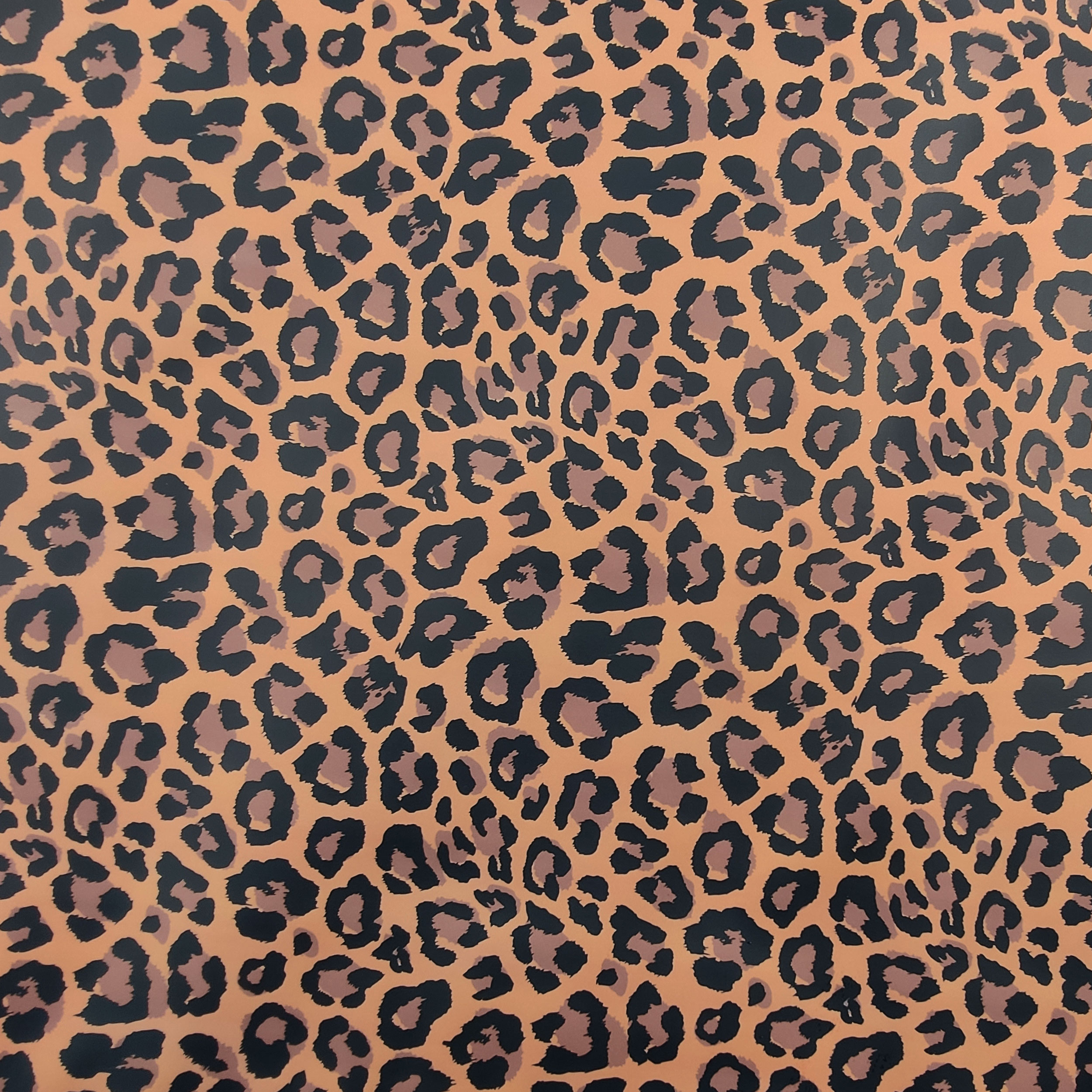 Impermeabile a Fantasia Leopardata Image