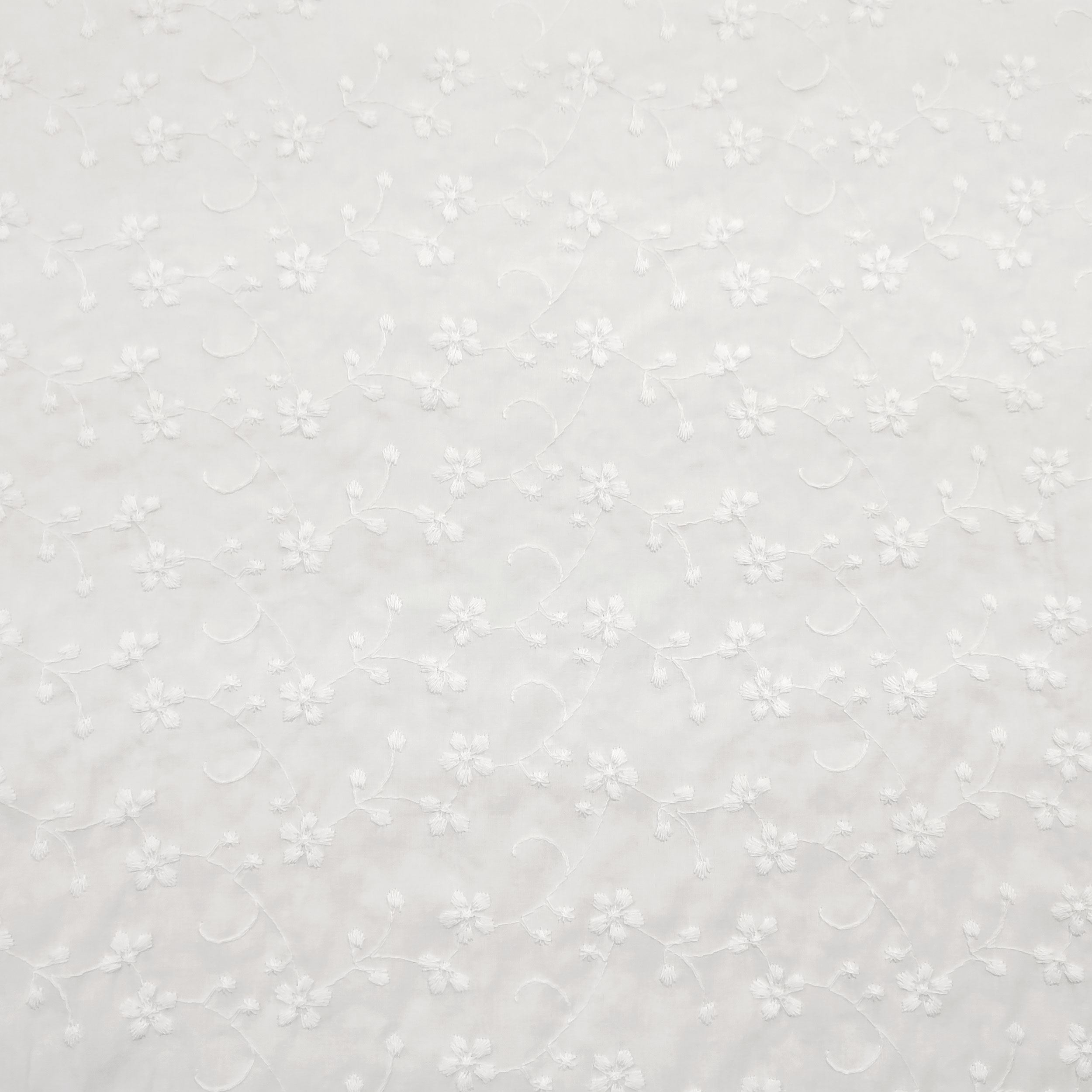 Sangallo Puro Cotone Bianco Fiorellini Image