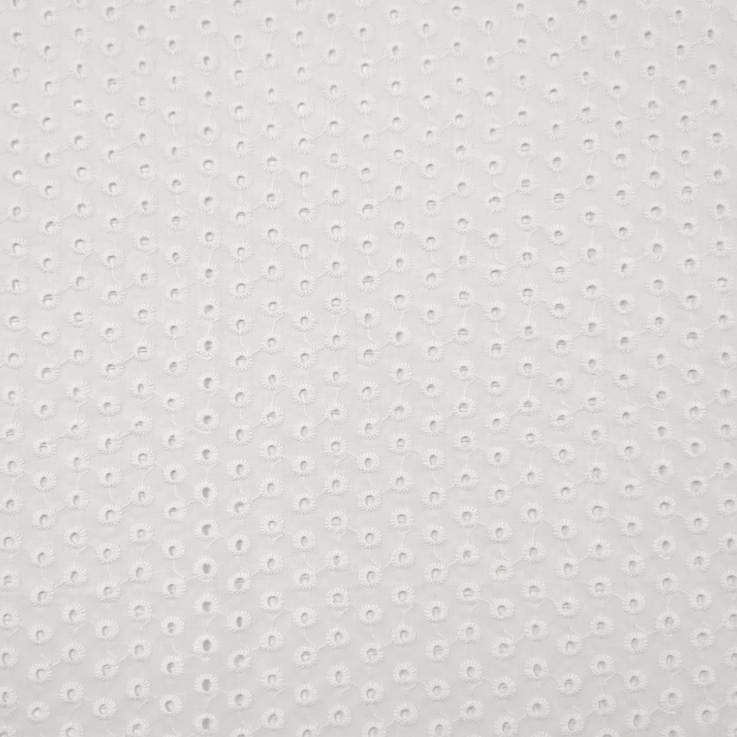 Sangallo di Cotone Bianco Mini Margherite Image