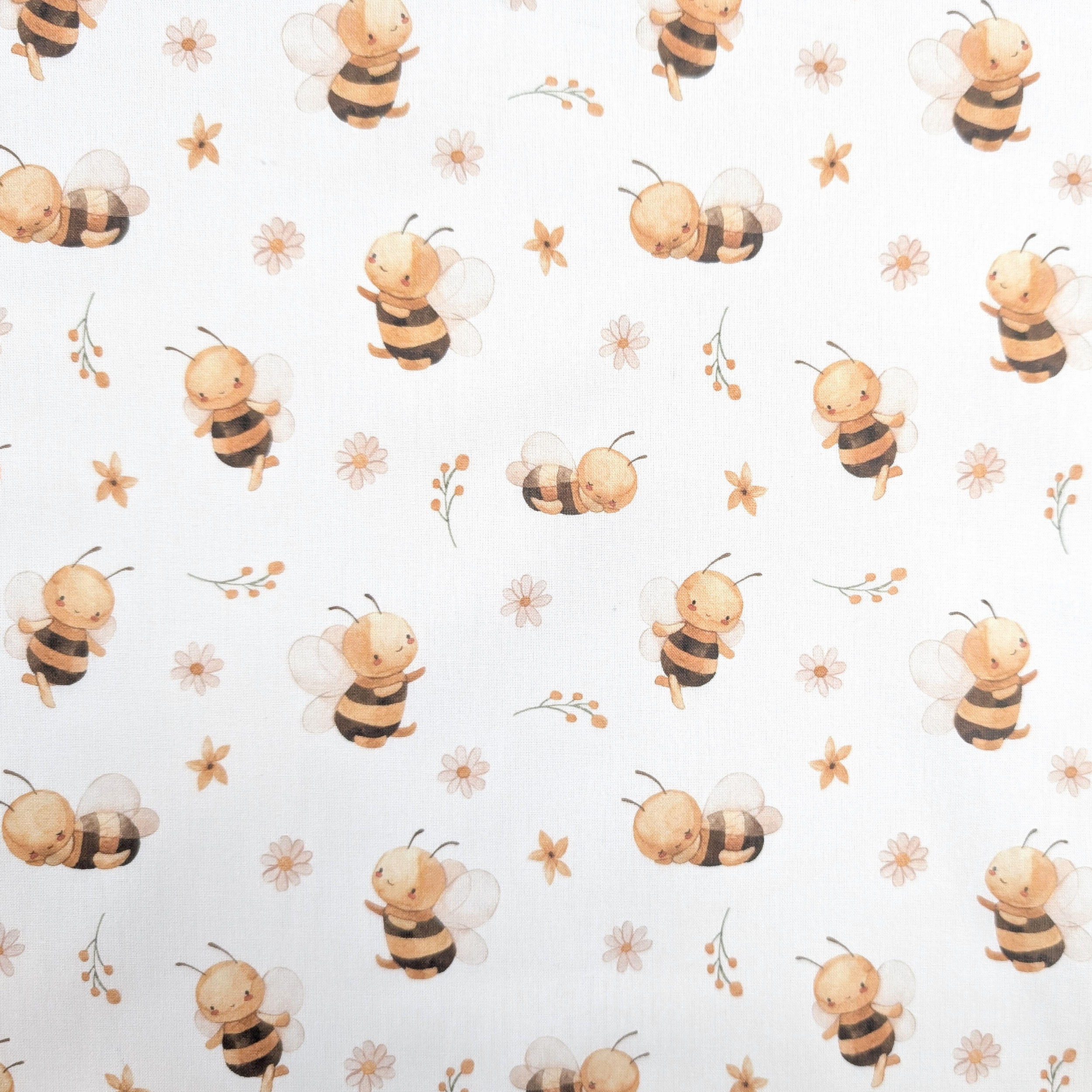Cotone Percalle Api Image