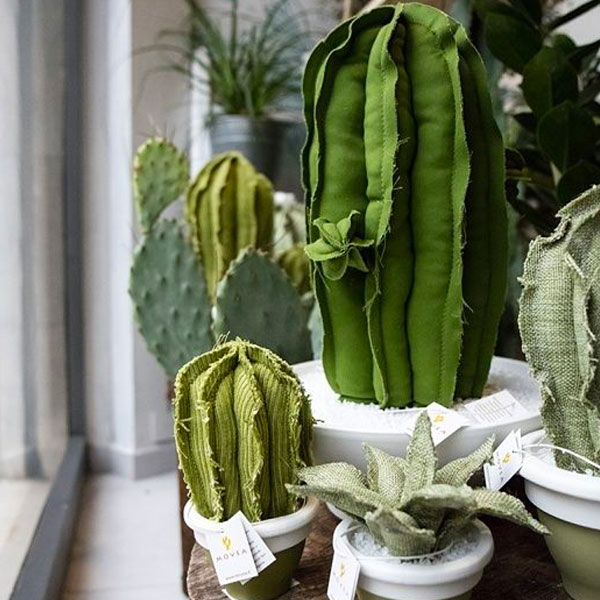 bomboniere-fai-da-te-cactus