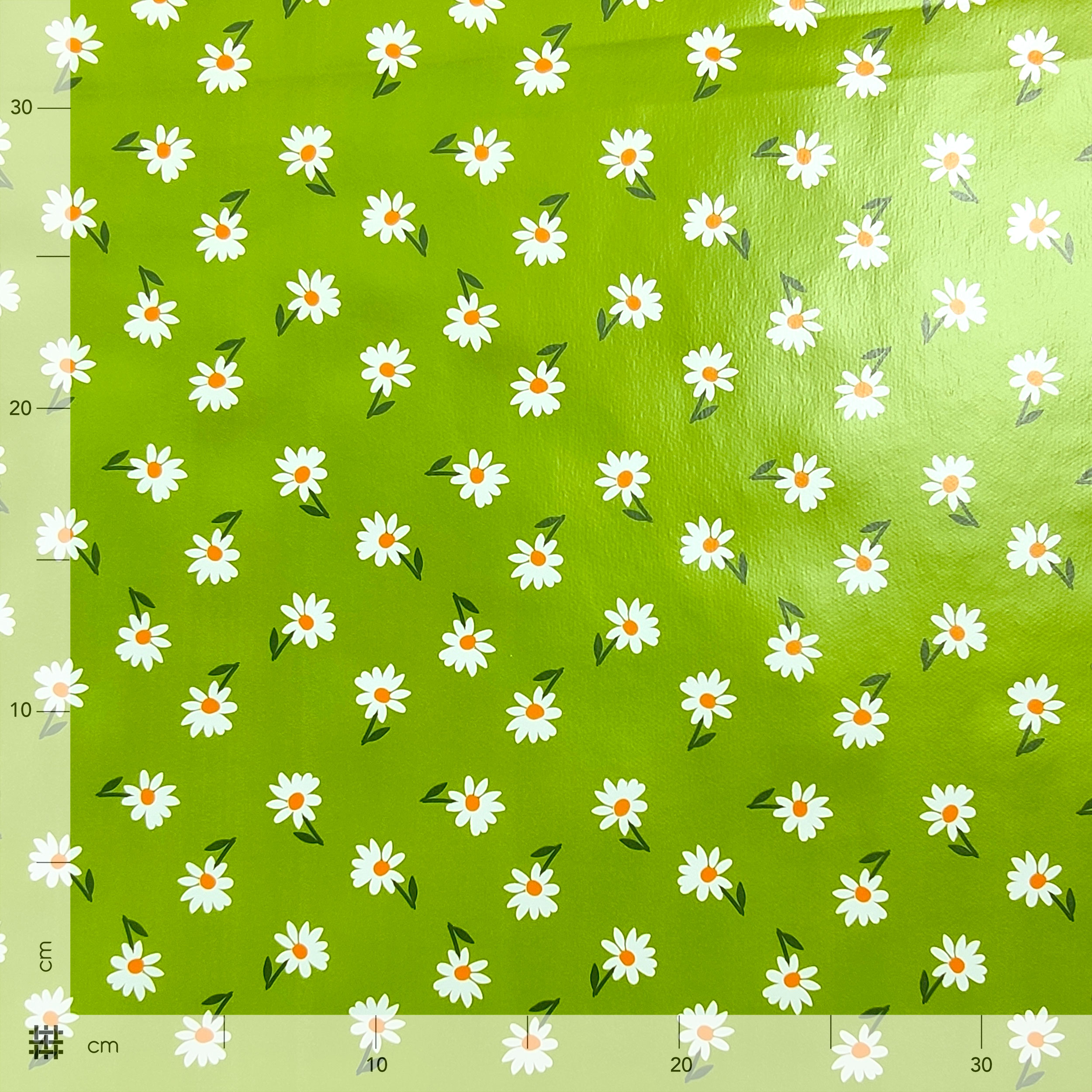 Tessuto Tovaglia Plastificata Verde con Margherite  Image