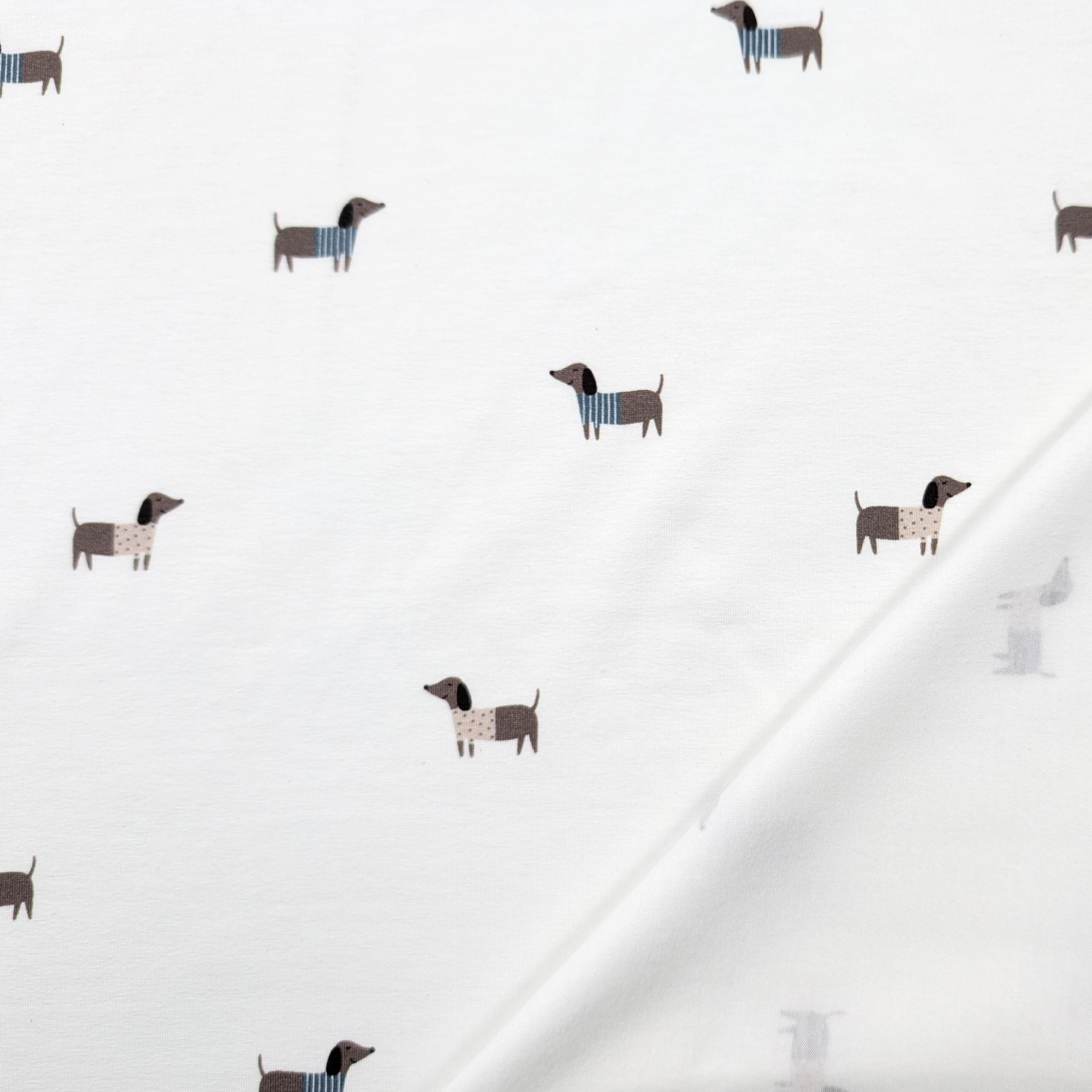 Jersey Cotone Bianco Dolci Bassotti Image