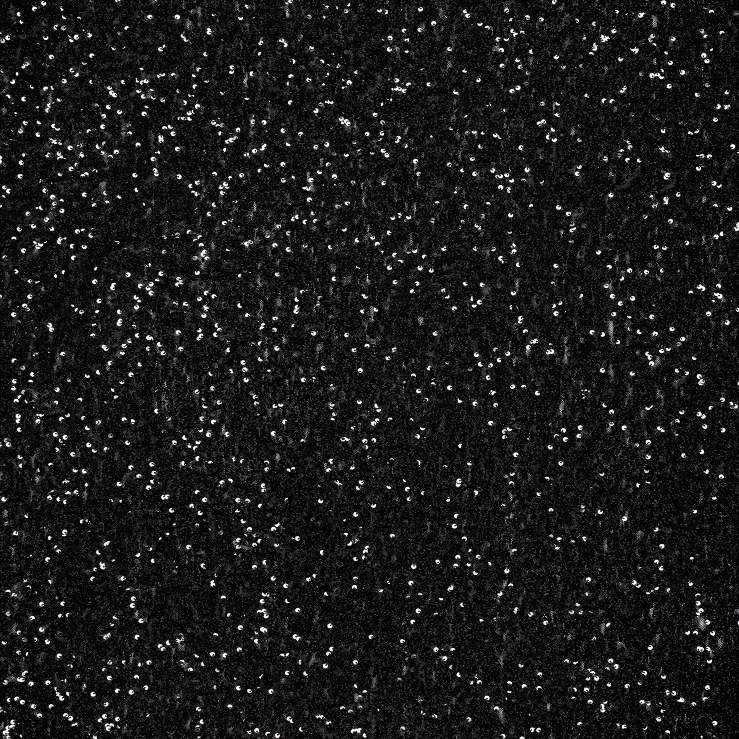 Paillettes su Tulle Elasticizzato Nero Image