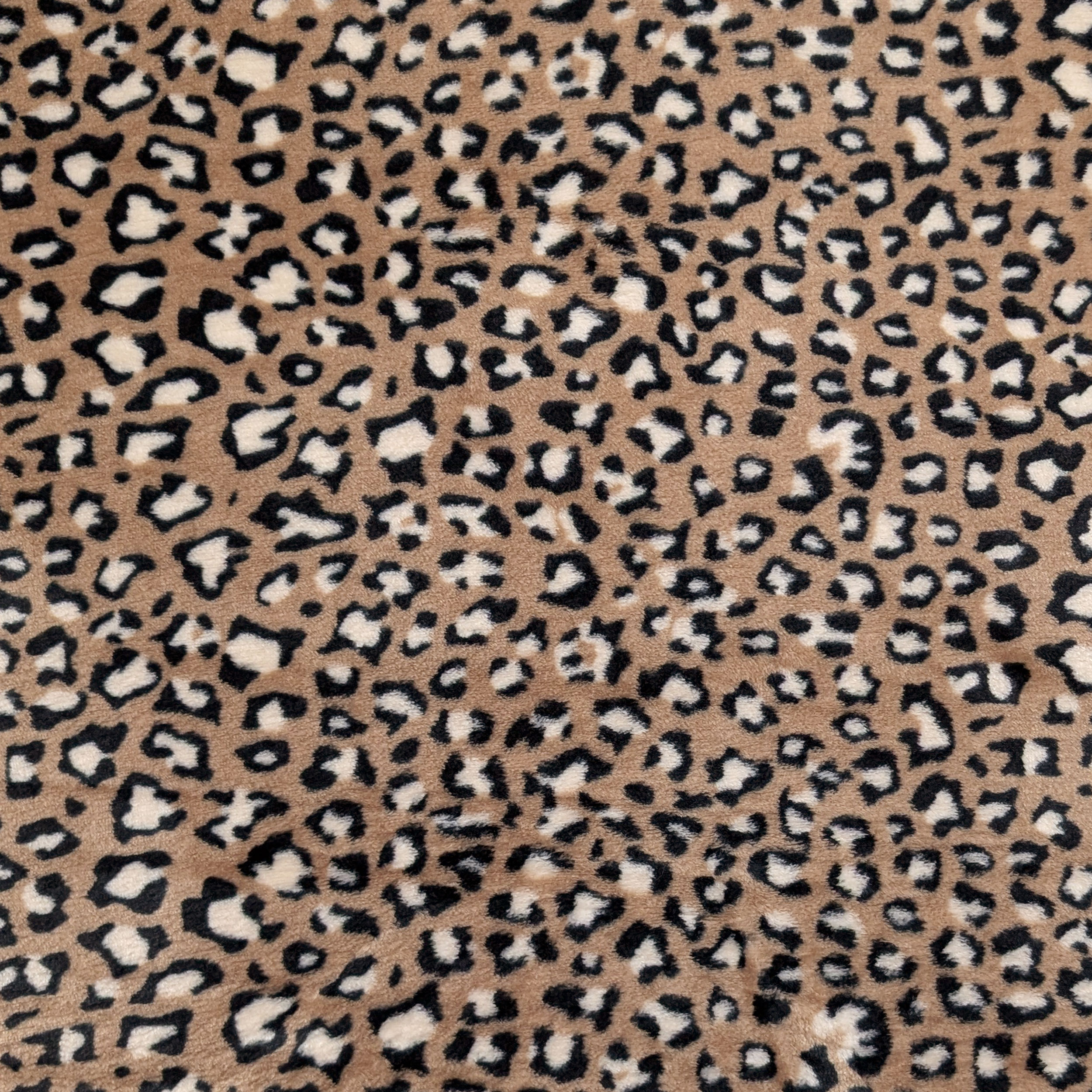 Pile Mano Cachemire Leopardato Marrone Image