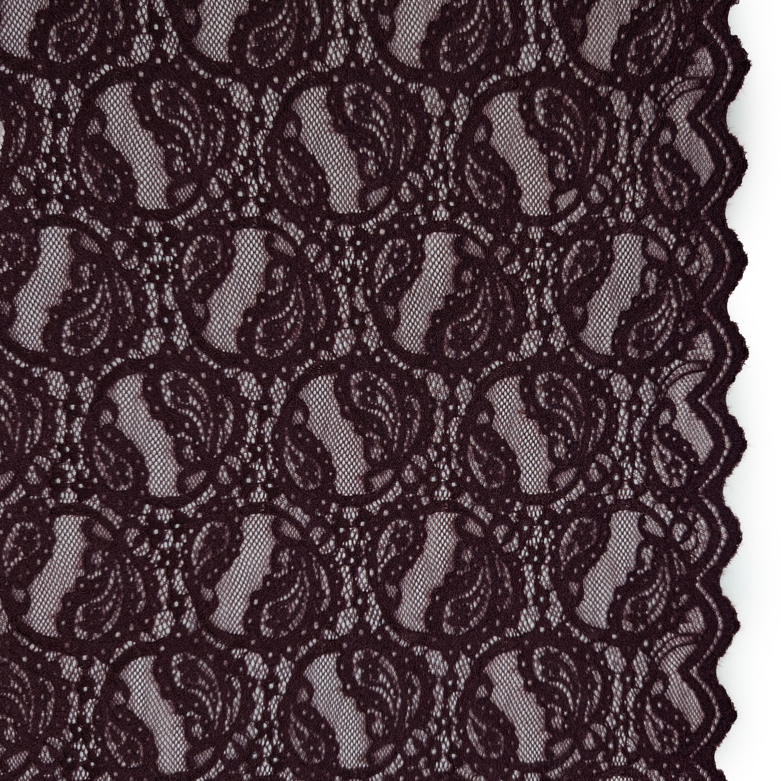 Pizzo Doppio Bordo Bielastico Bordeaux Image