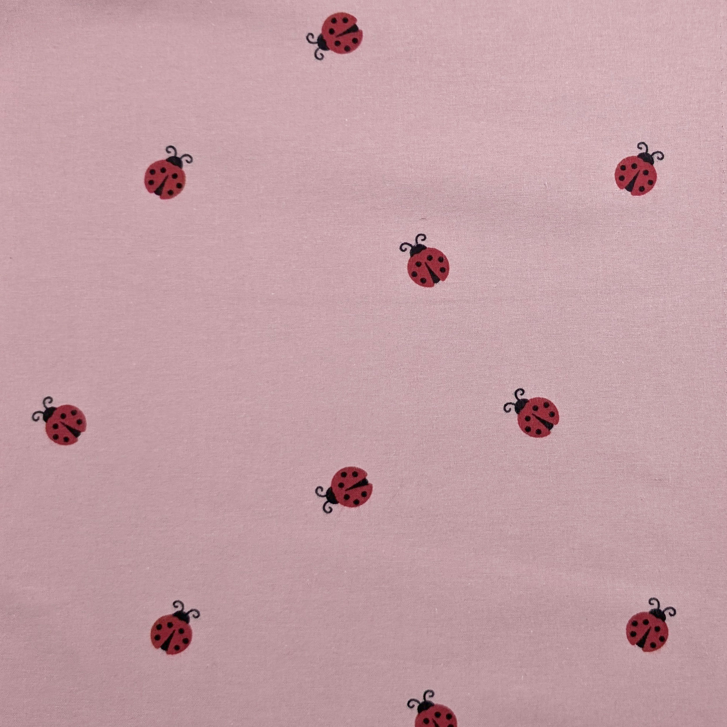 Flanella di Cotone Coccinelle Image