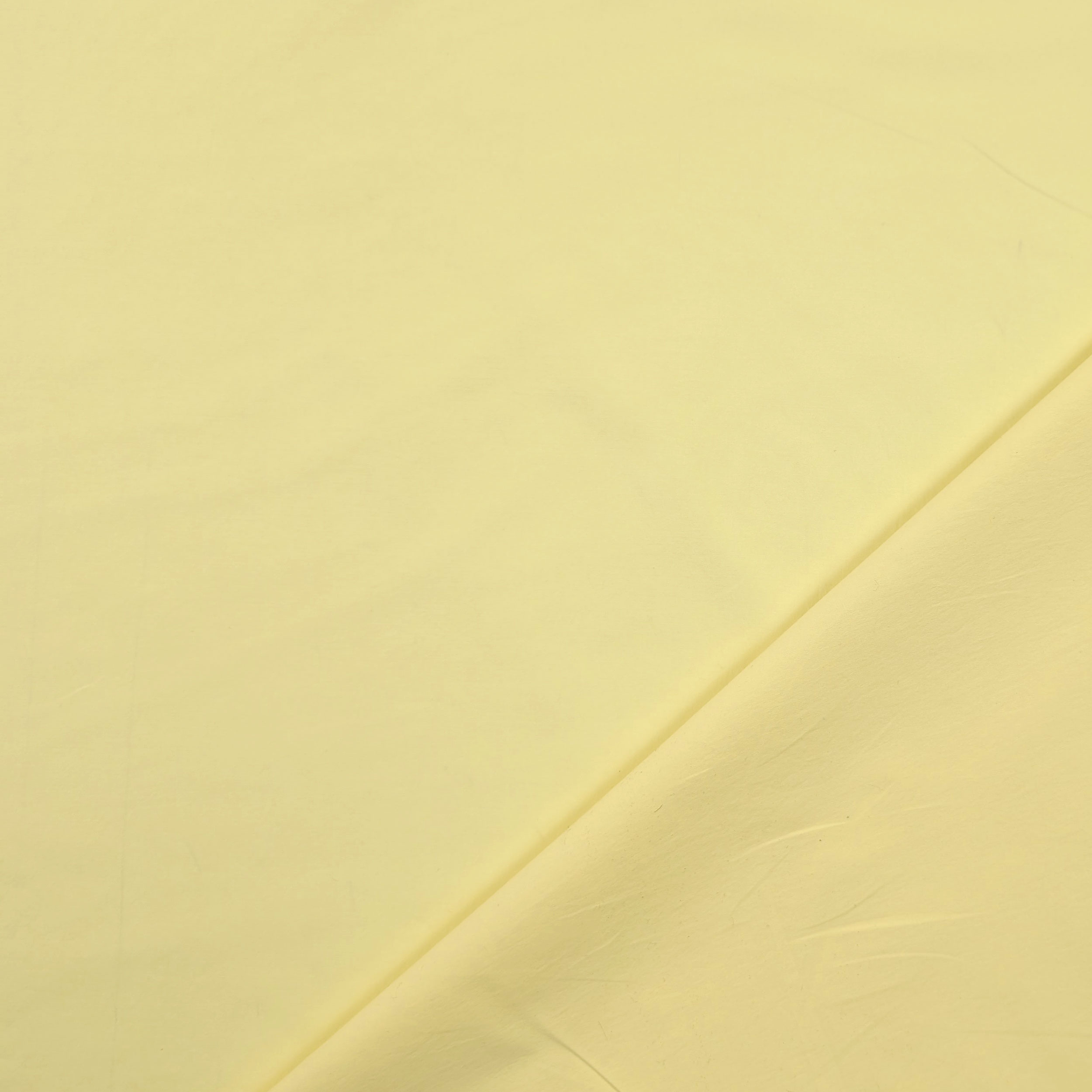 Cotone Giallino Image