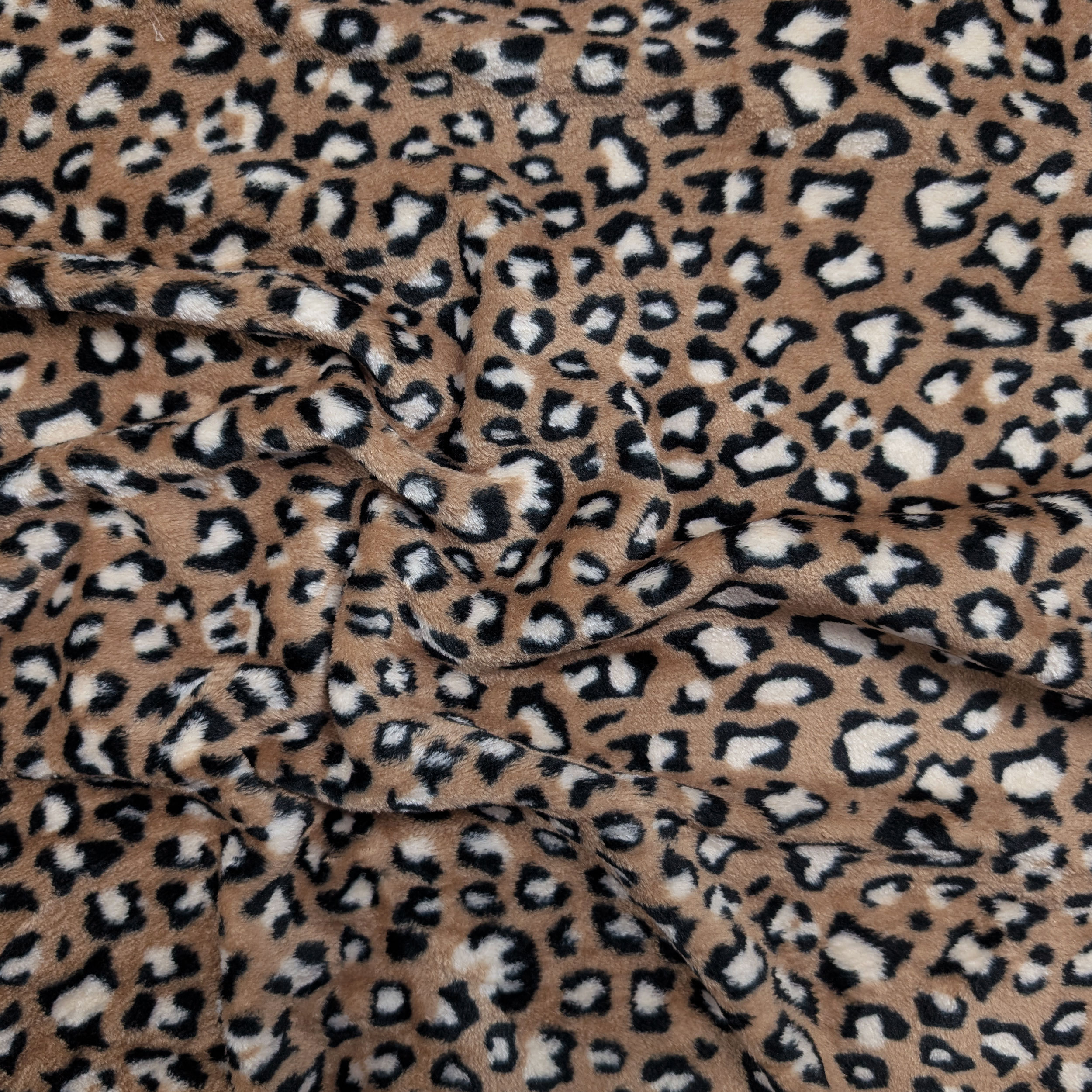 Pile Mano Cachemire Leopardato Marrone Image