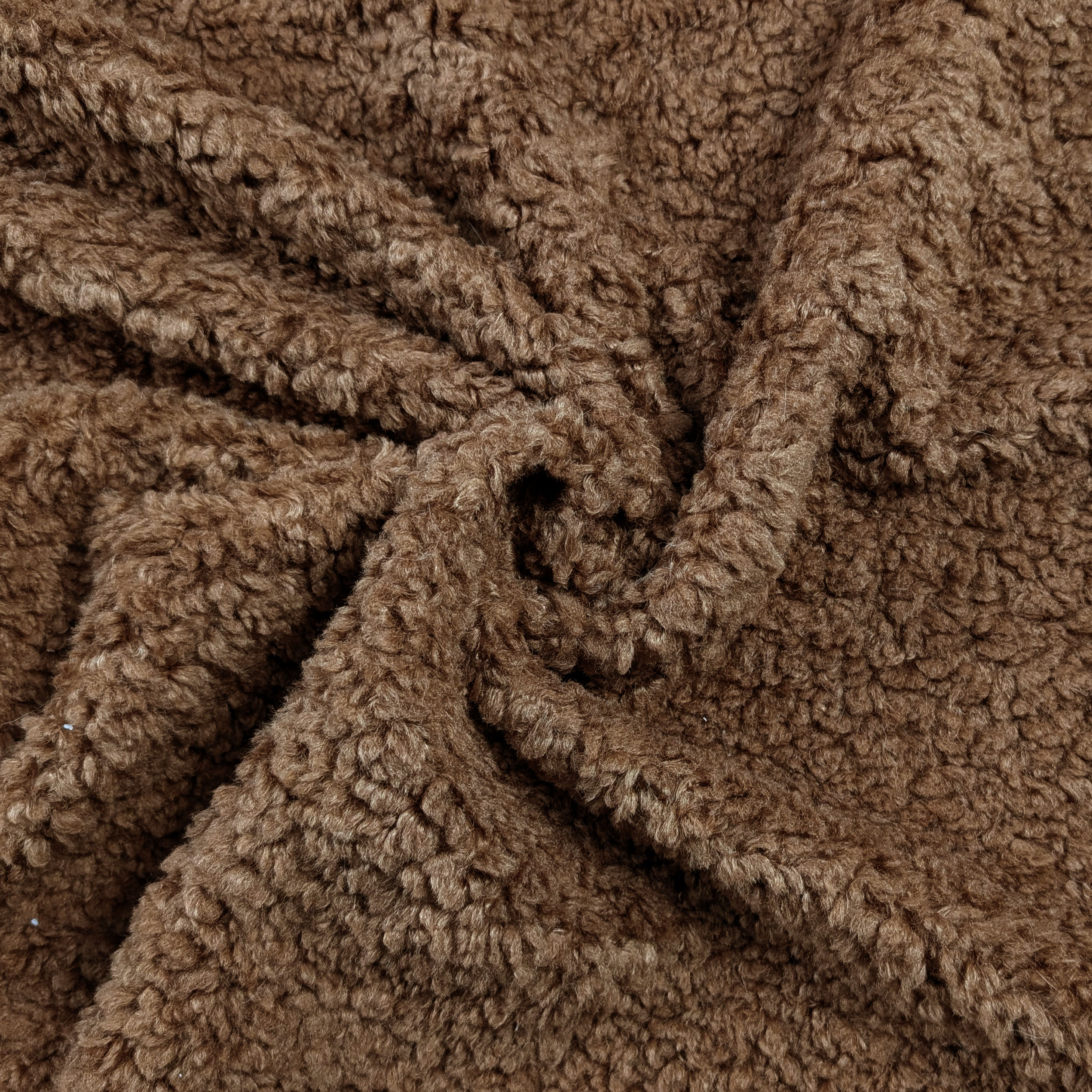 Pelliccia Teddy Special Biscotto Image