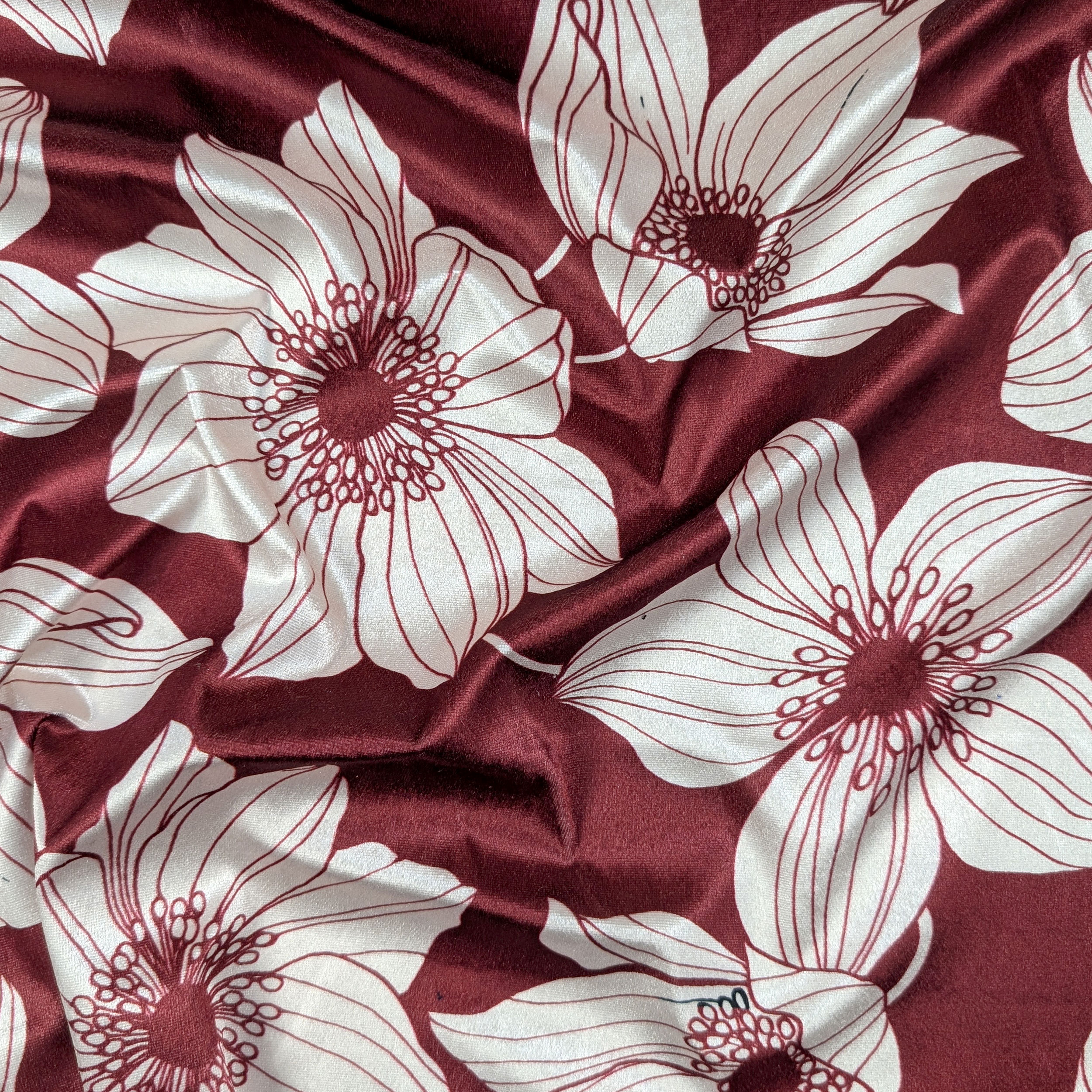 Vellutina Bordeaux Fiori Moda Bianchi Image