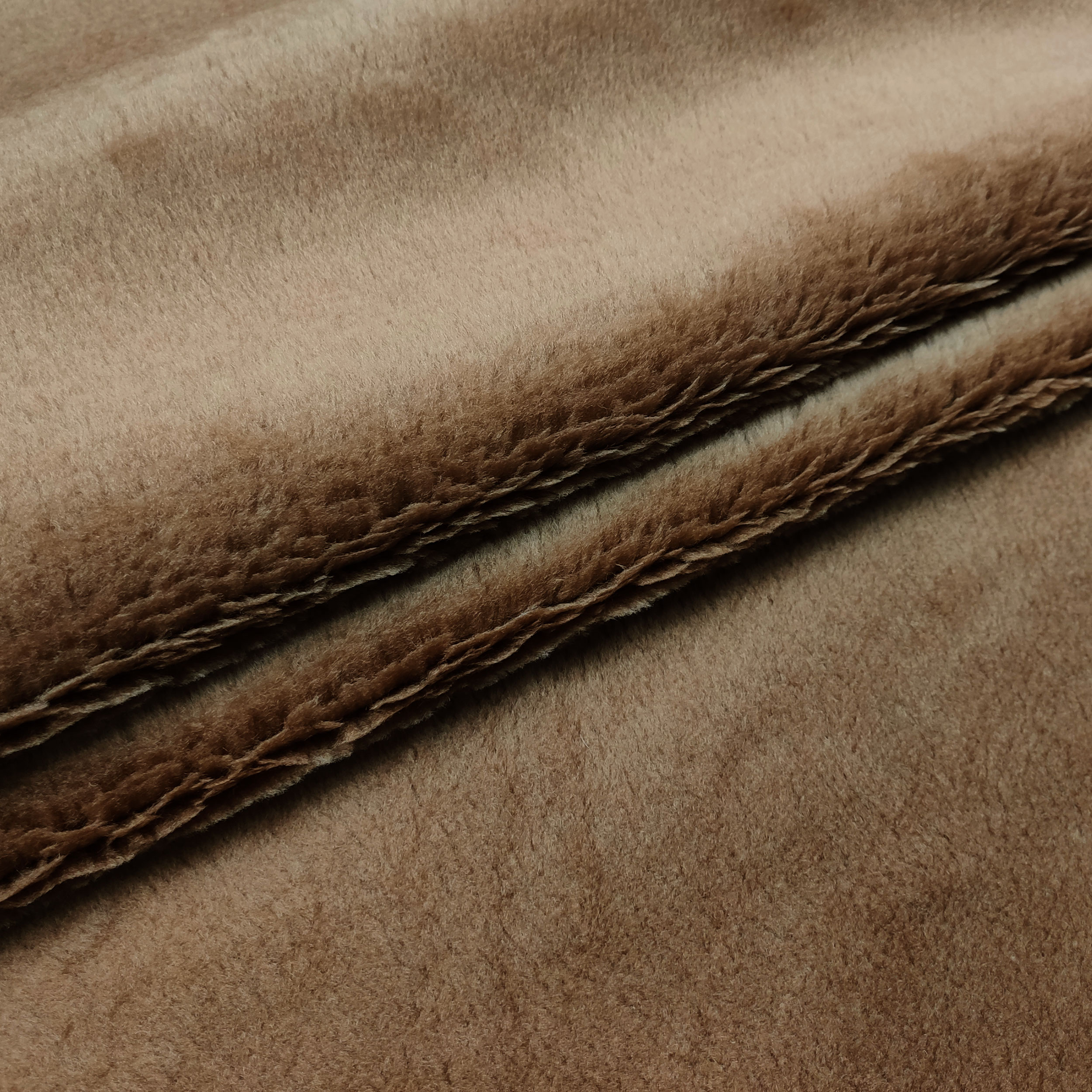 Montone Cammello Image