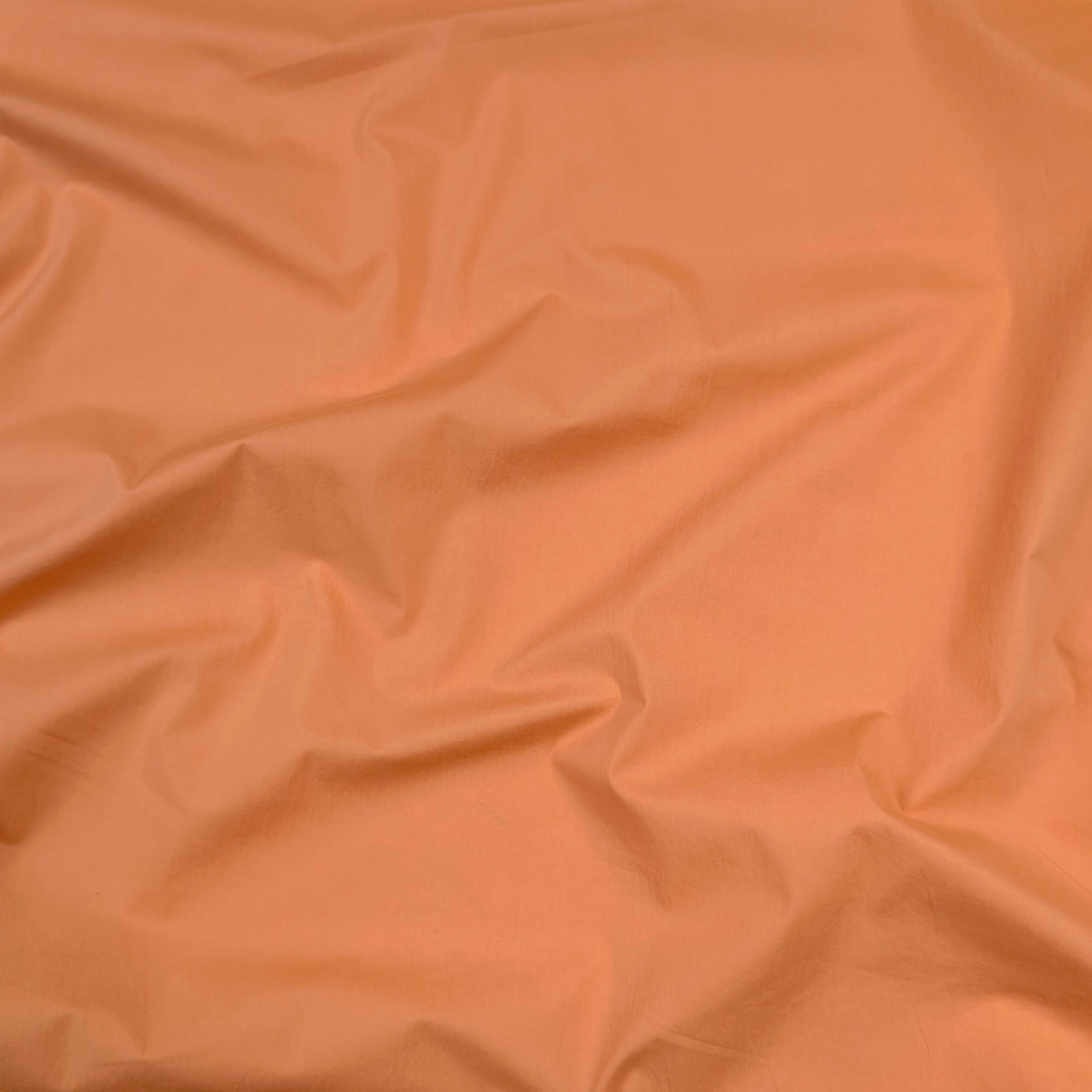 Cotone Arancio Chiaro Image