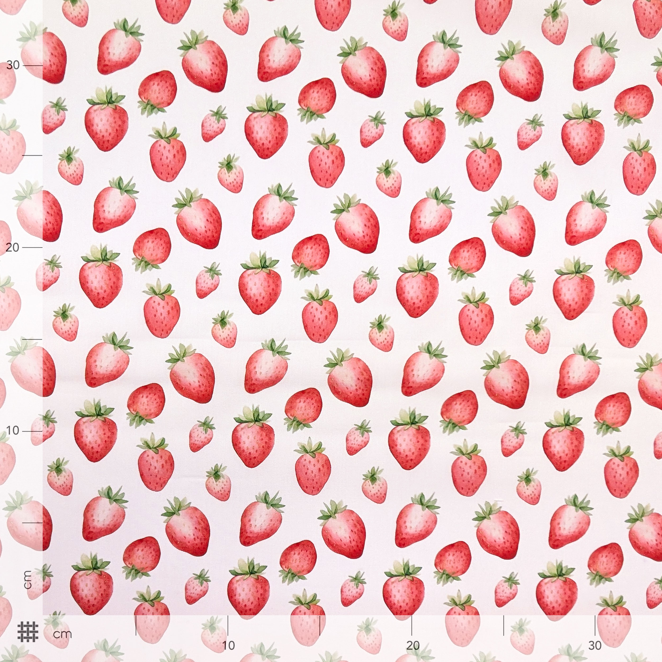 Popeline Cotone Fragole Sfondo Bianco Image