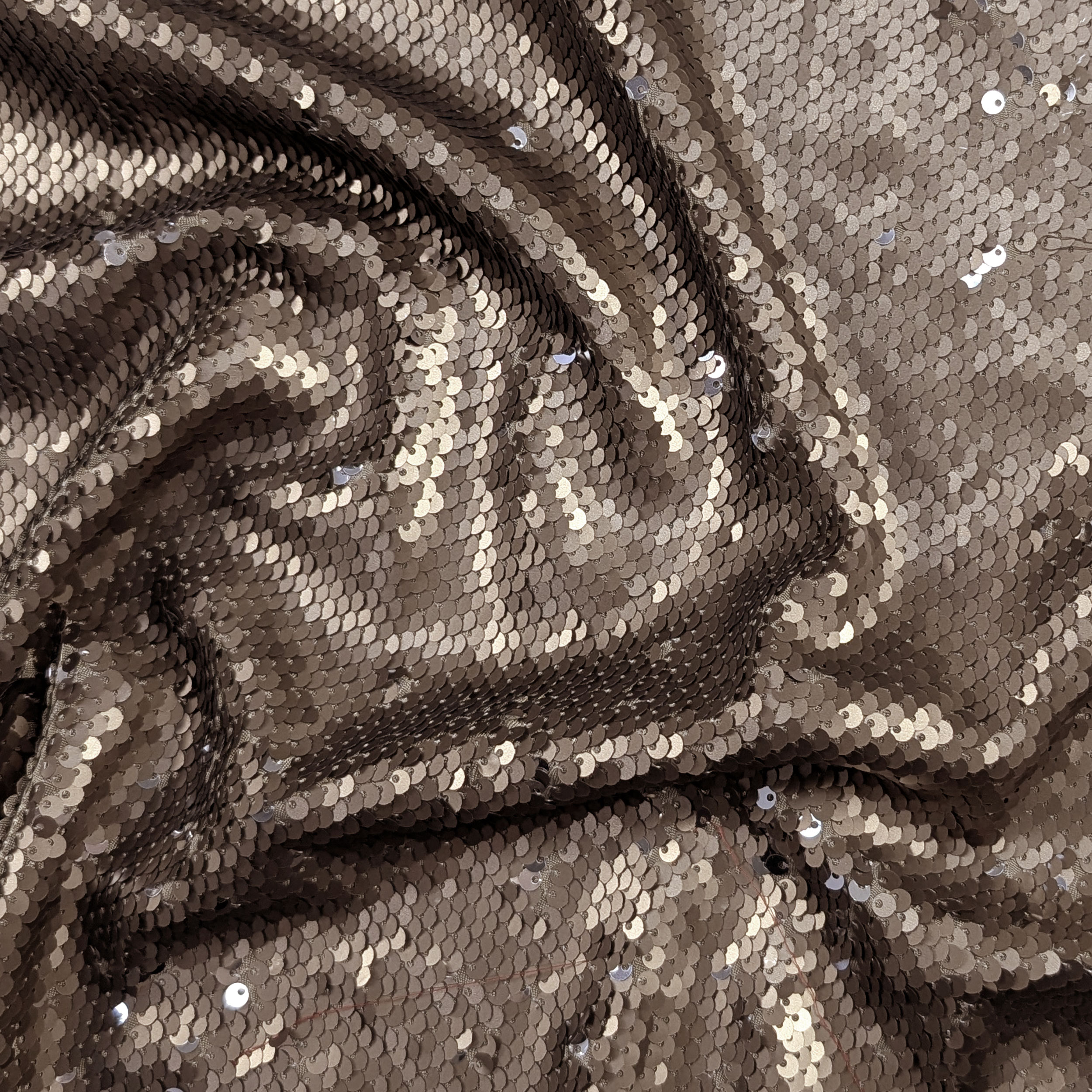 Paillettes Bronzo Scriventi Argento Image