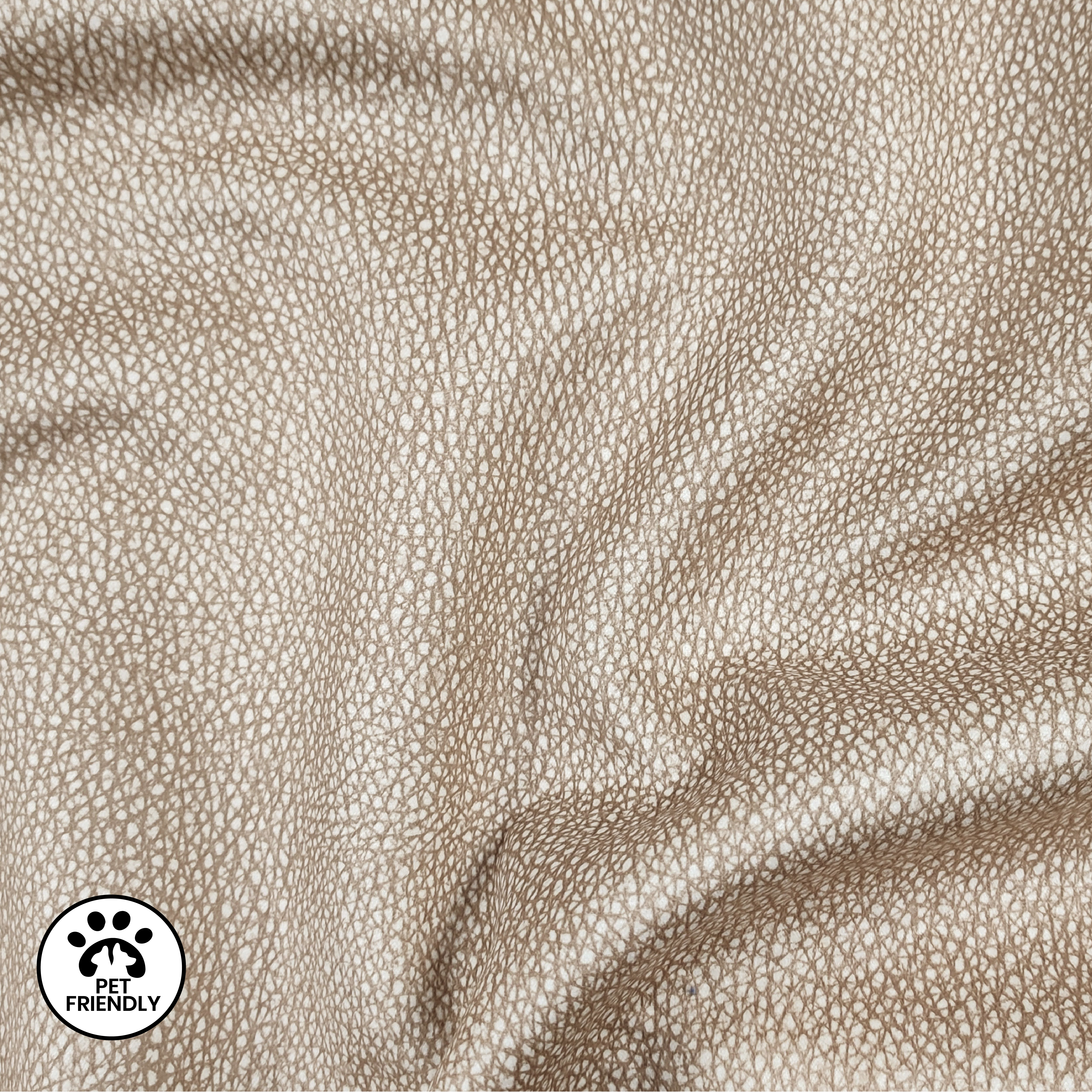 Arredo Tartarugato Pet Friendly 1