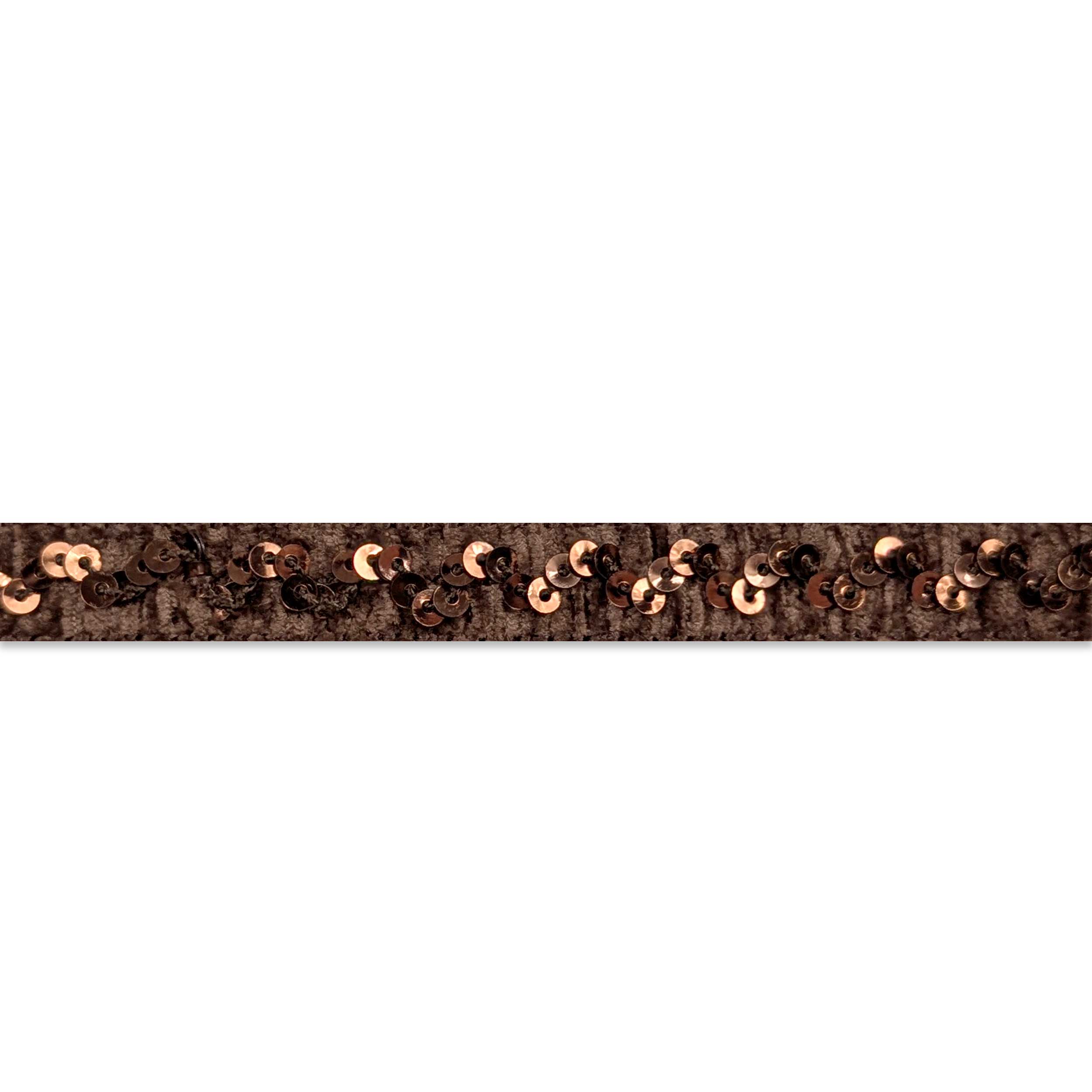 Passamaneria Marrone con Paillettes Image