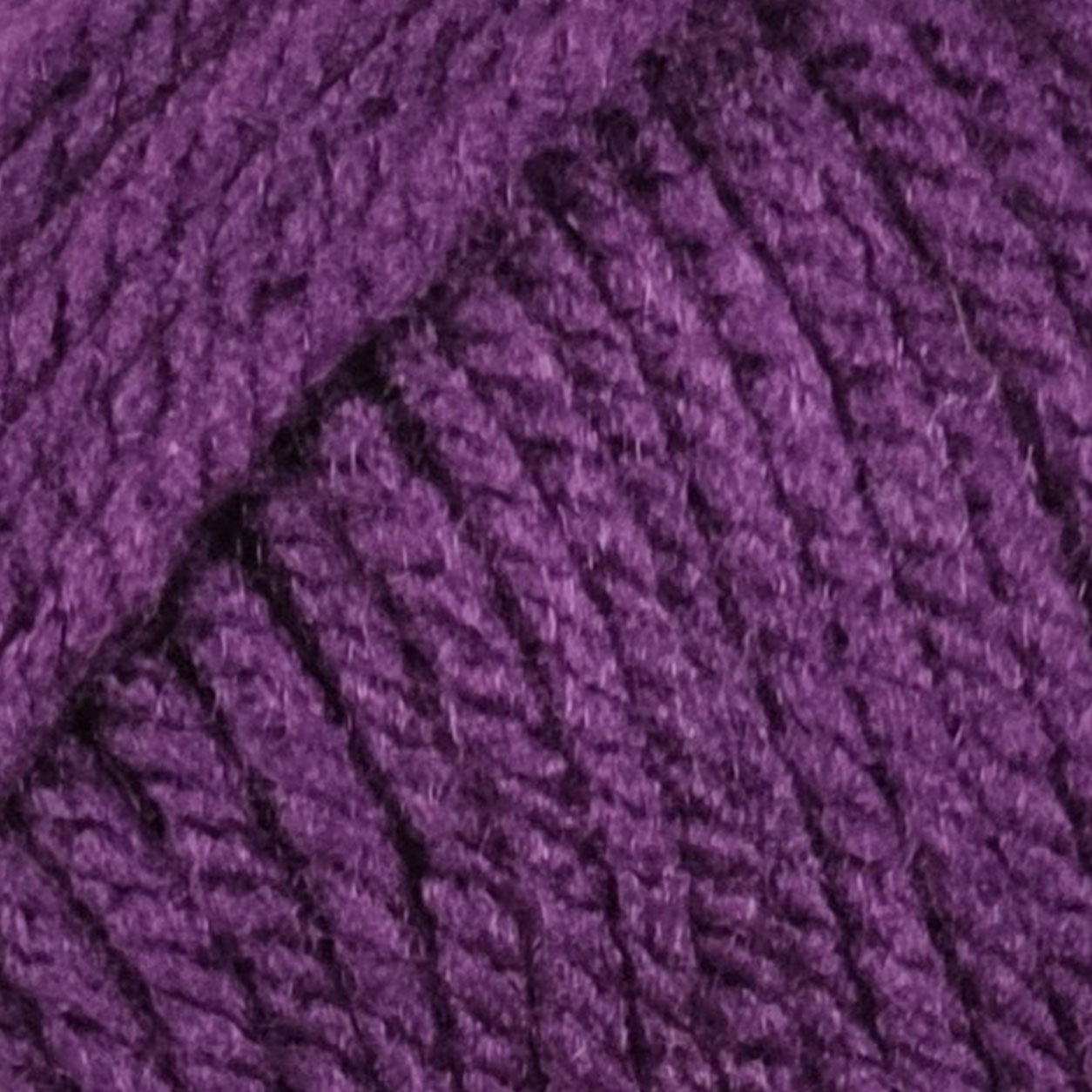 Viola - 1655