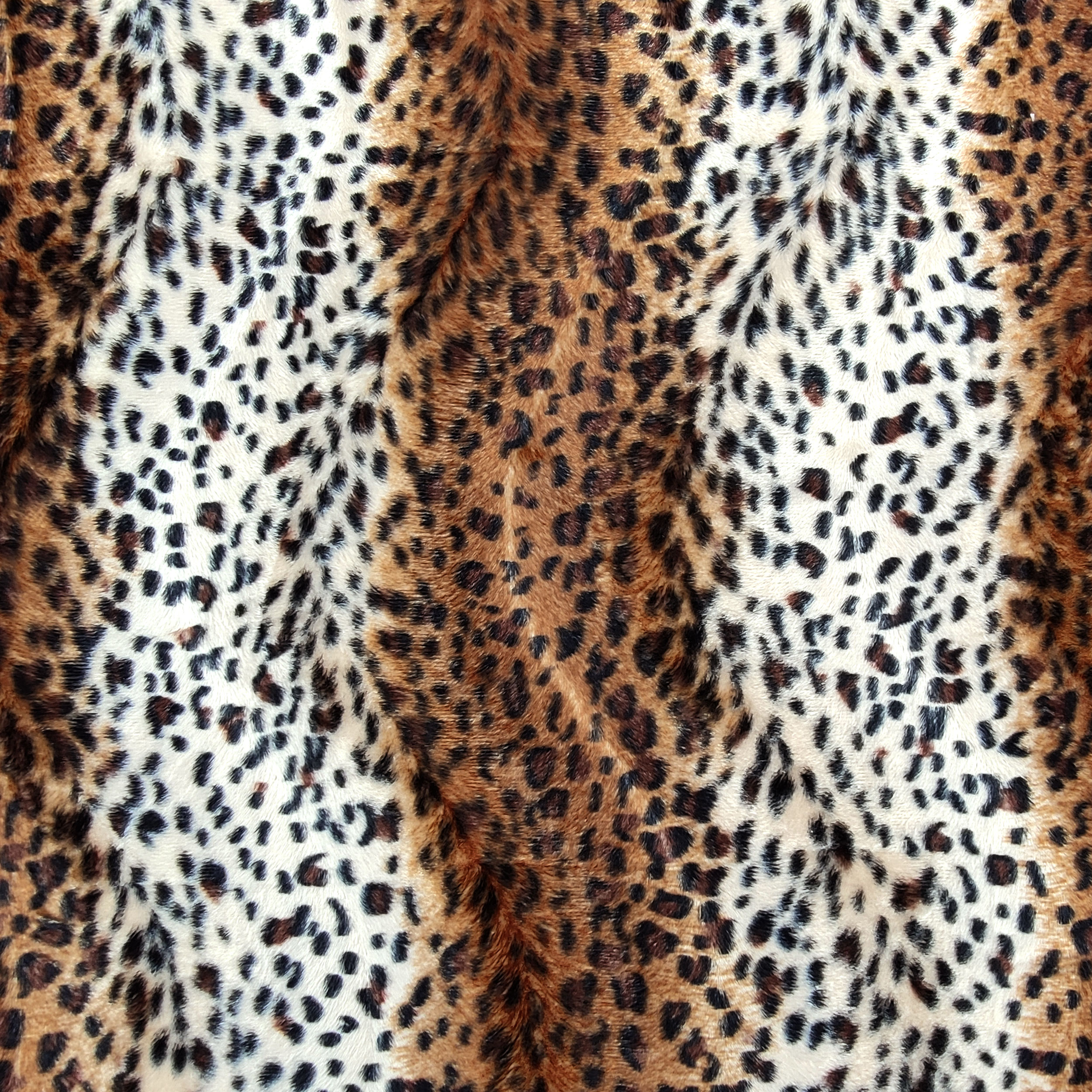 Cavallino Leopardato