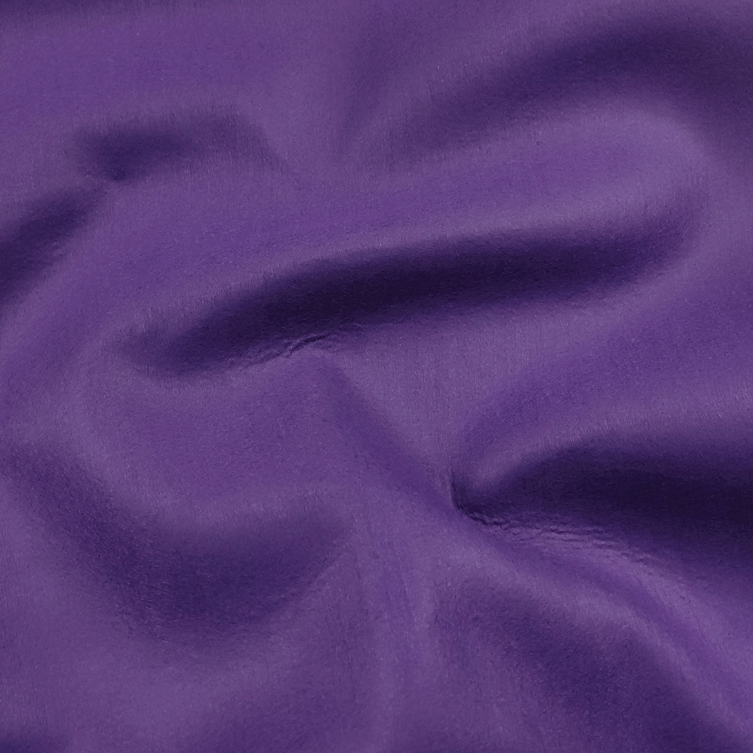 Feltro Image