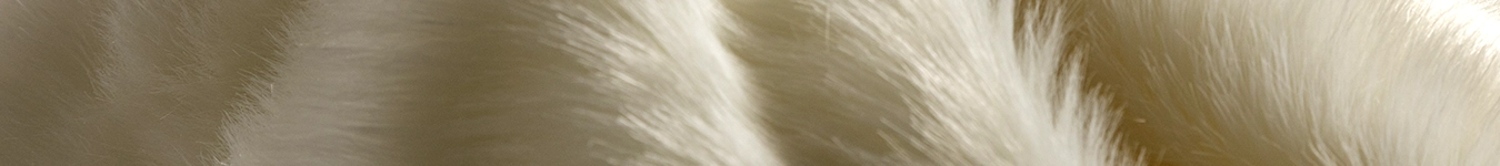 banner2pelliccia-sinteticadue_1350x150 tessuto-pelliccia