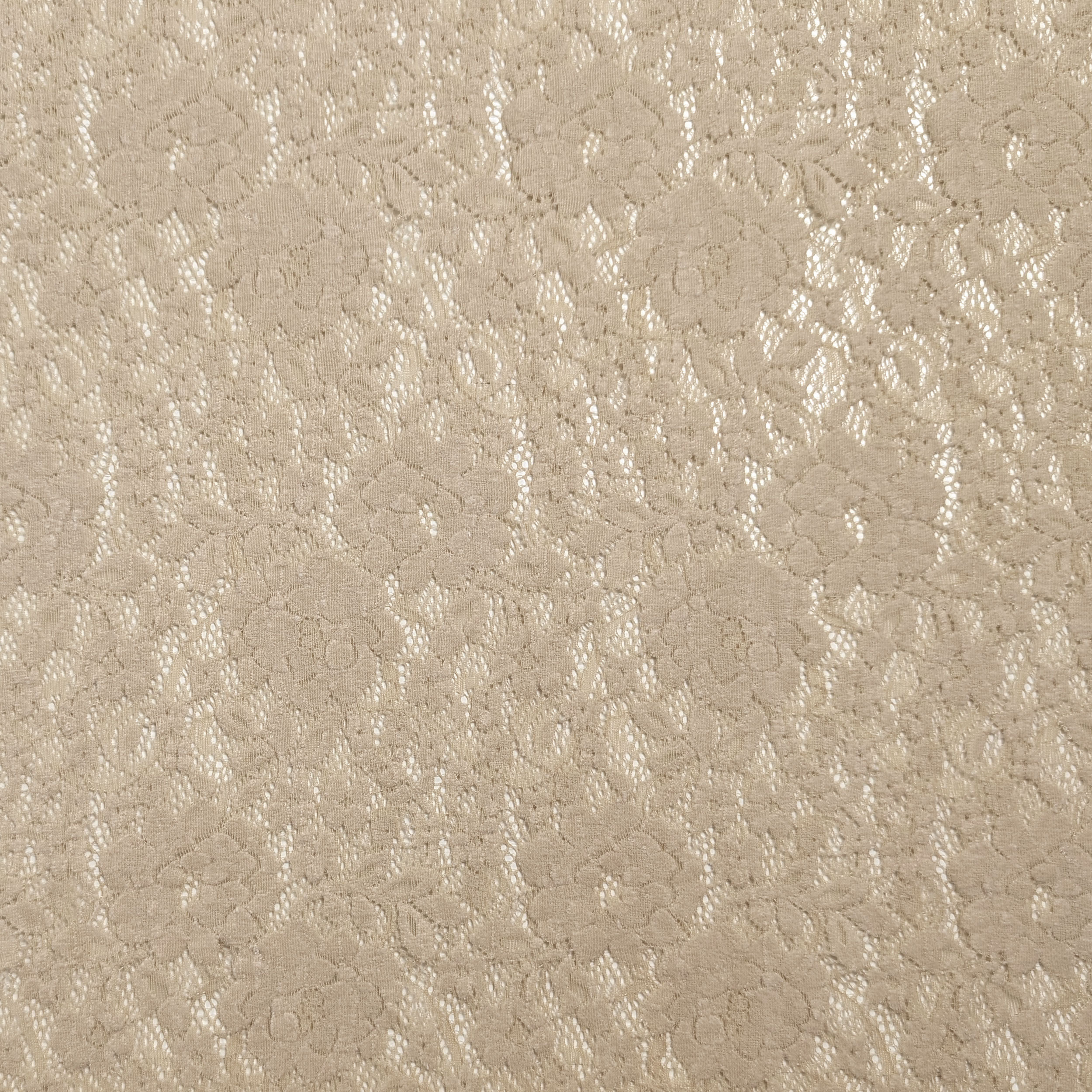 Pizzo Inserto Rose Velluto Beige Image
