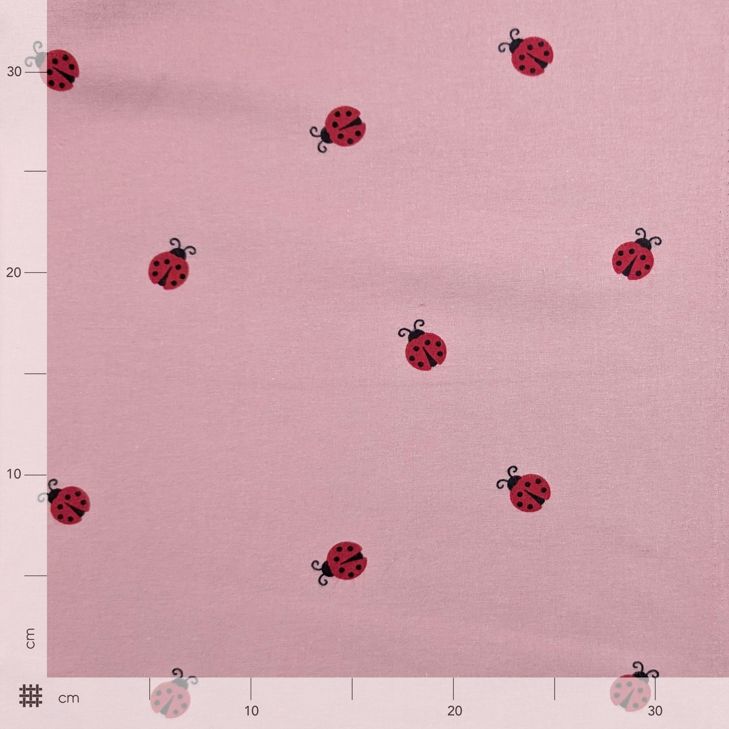 Flanella di Cotone Coccinelle Image