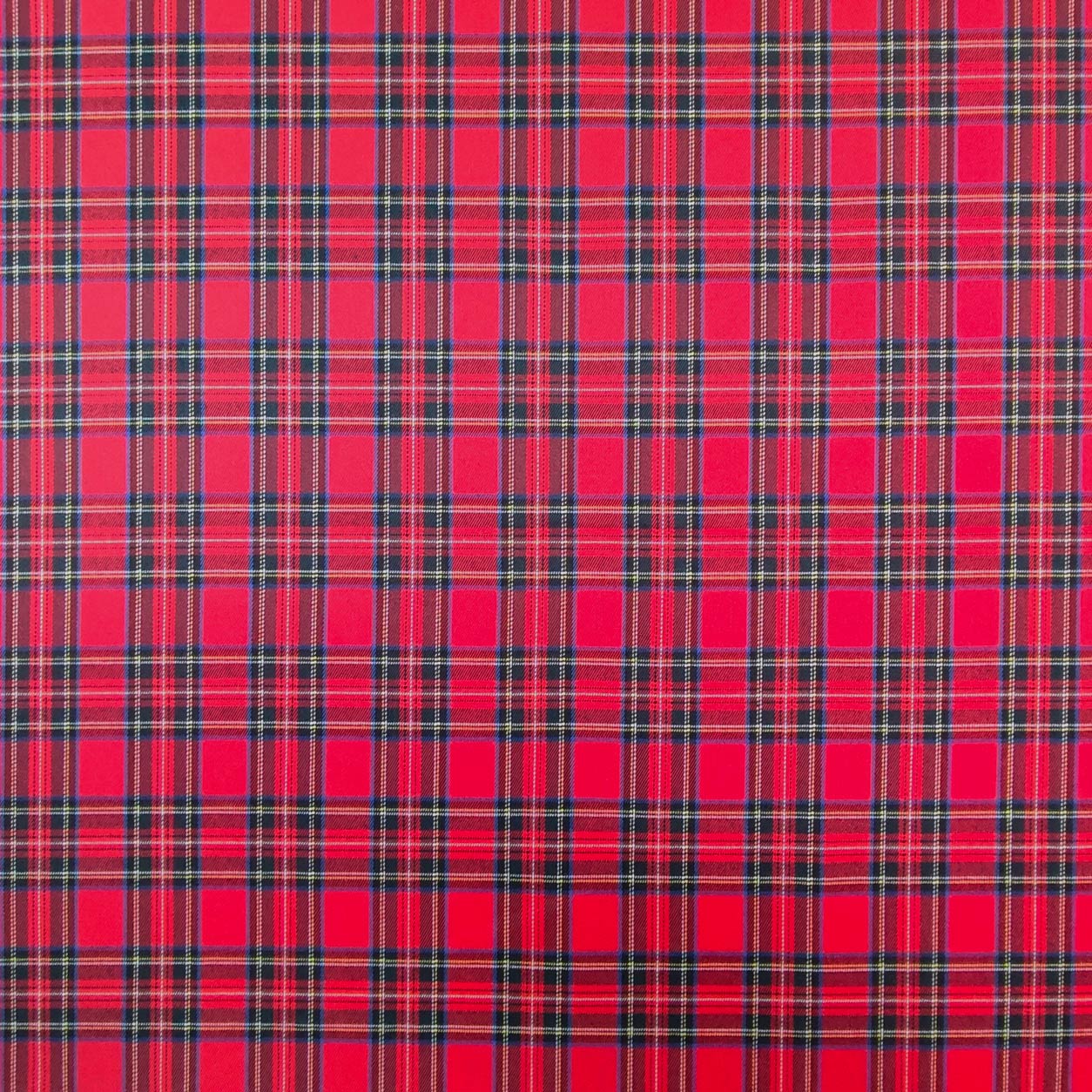 Tartan Classico Righe Quadro Piccolo Image