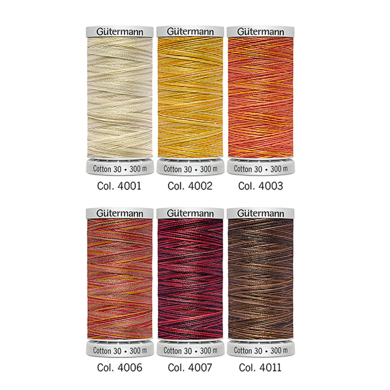 Gutermann Filo Cotone 300 m 6 Bobine Toni Caldi 