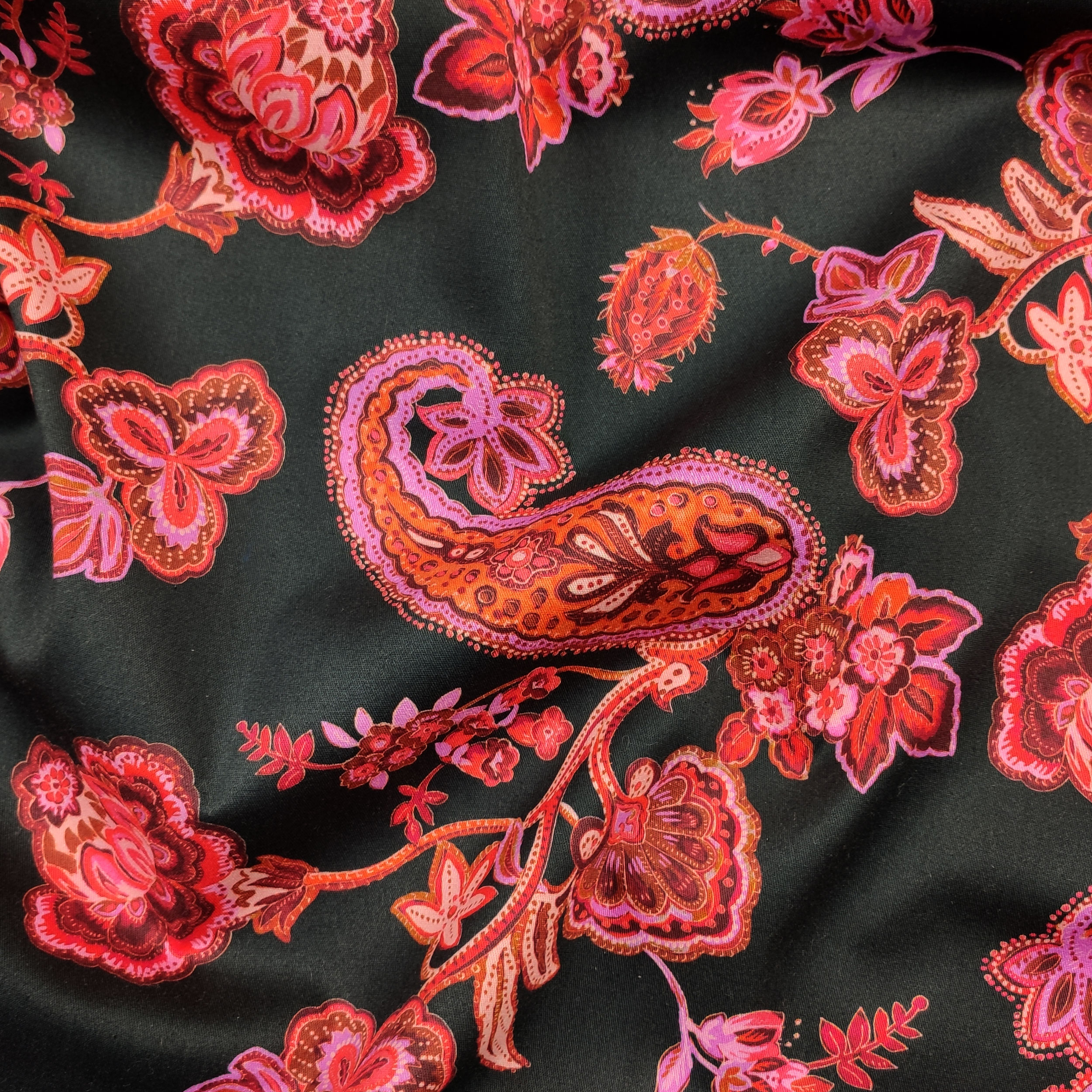 Cotone Nero Fantasia Cachemire Toni Rosa