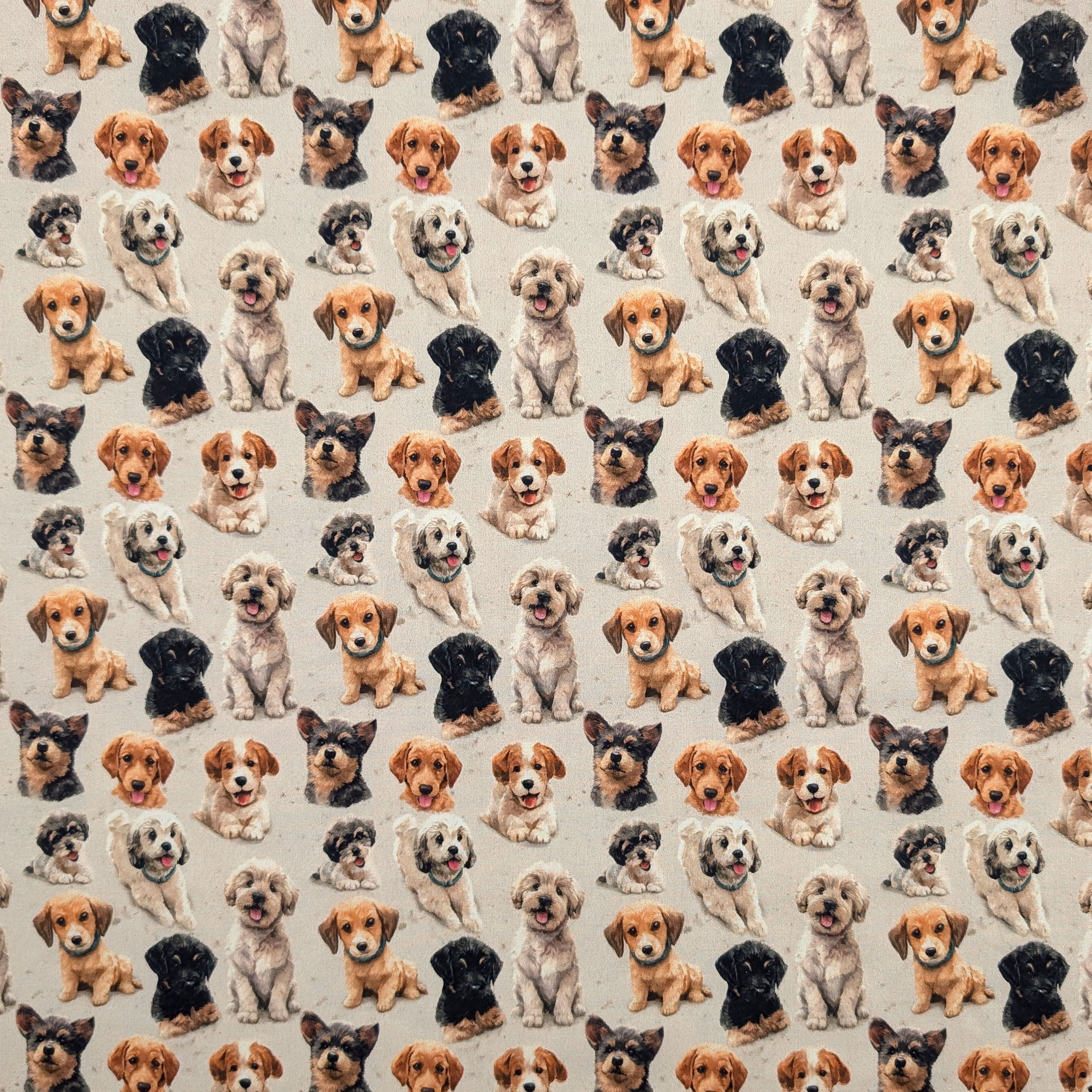 Cotone Fantasia Cagnolini Image