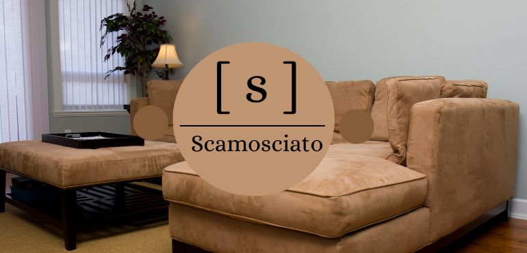 dizionario tessuti tessuto sudede scamosciato