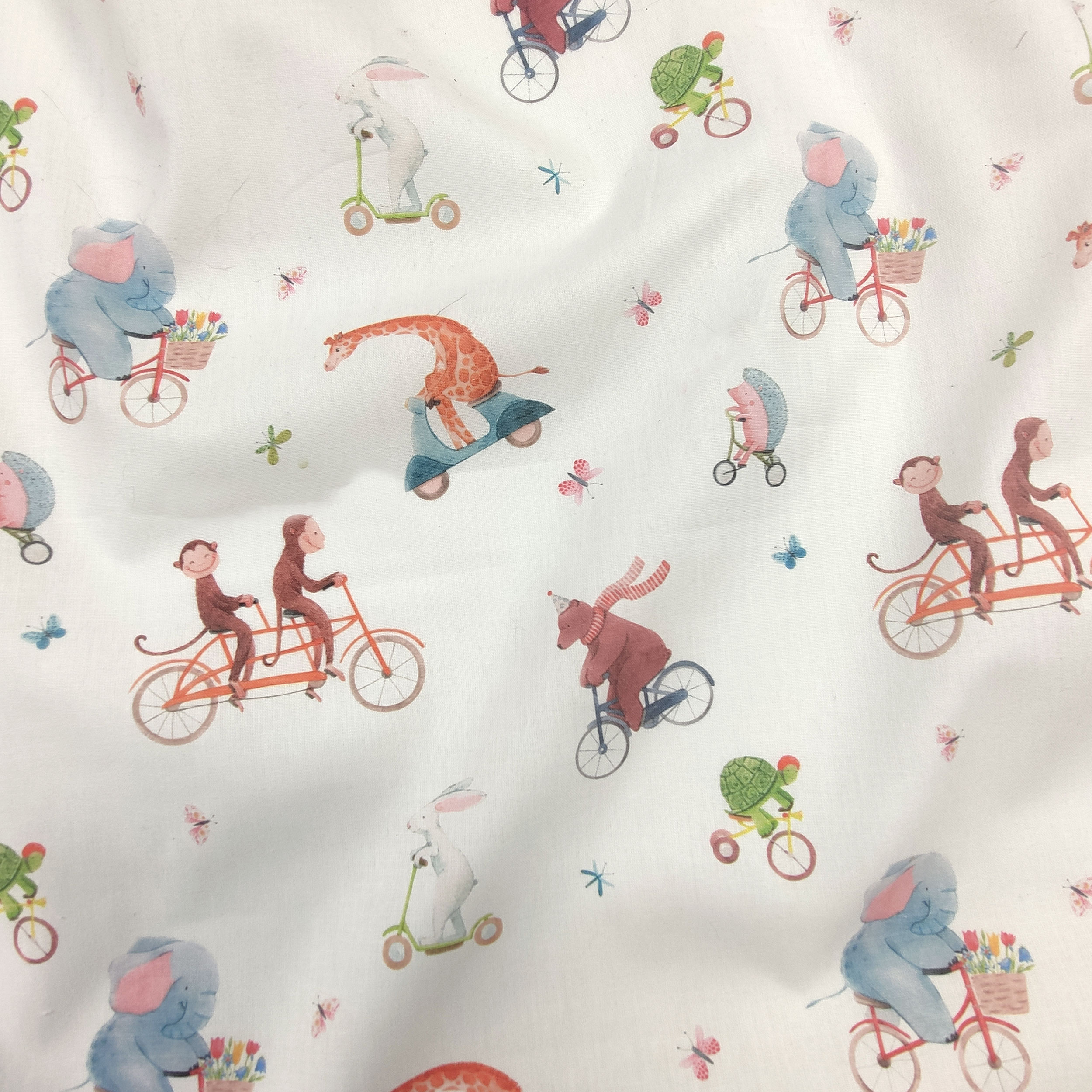 Cotone Animali in Bicicletta