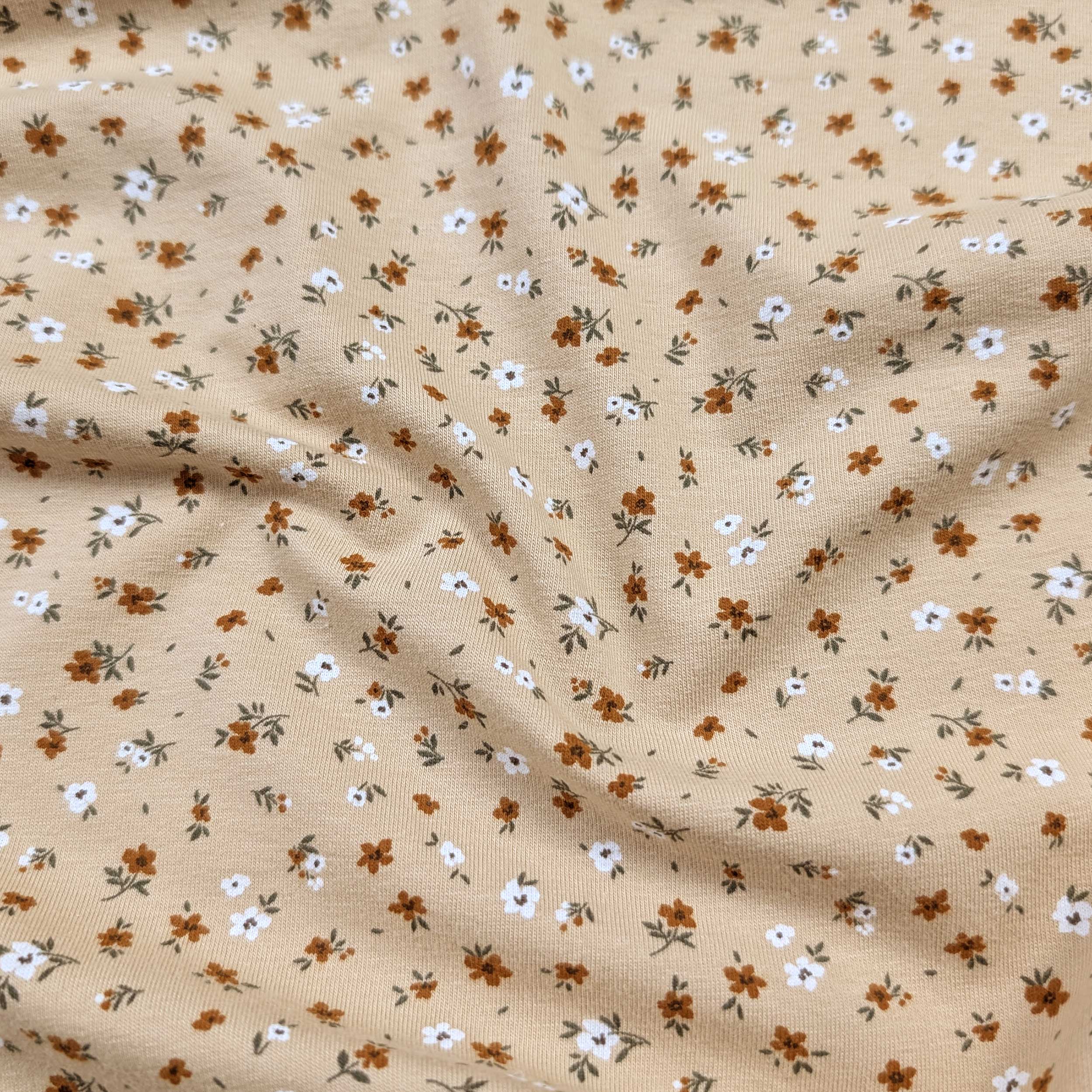 Jersey Cotone Beige Fantasia Fiorellini Image
