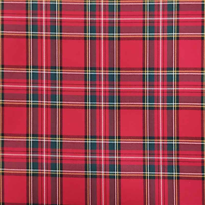 Tartan Classico Righe Quadro Piccolo