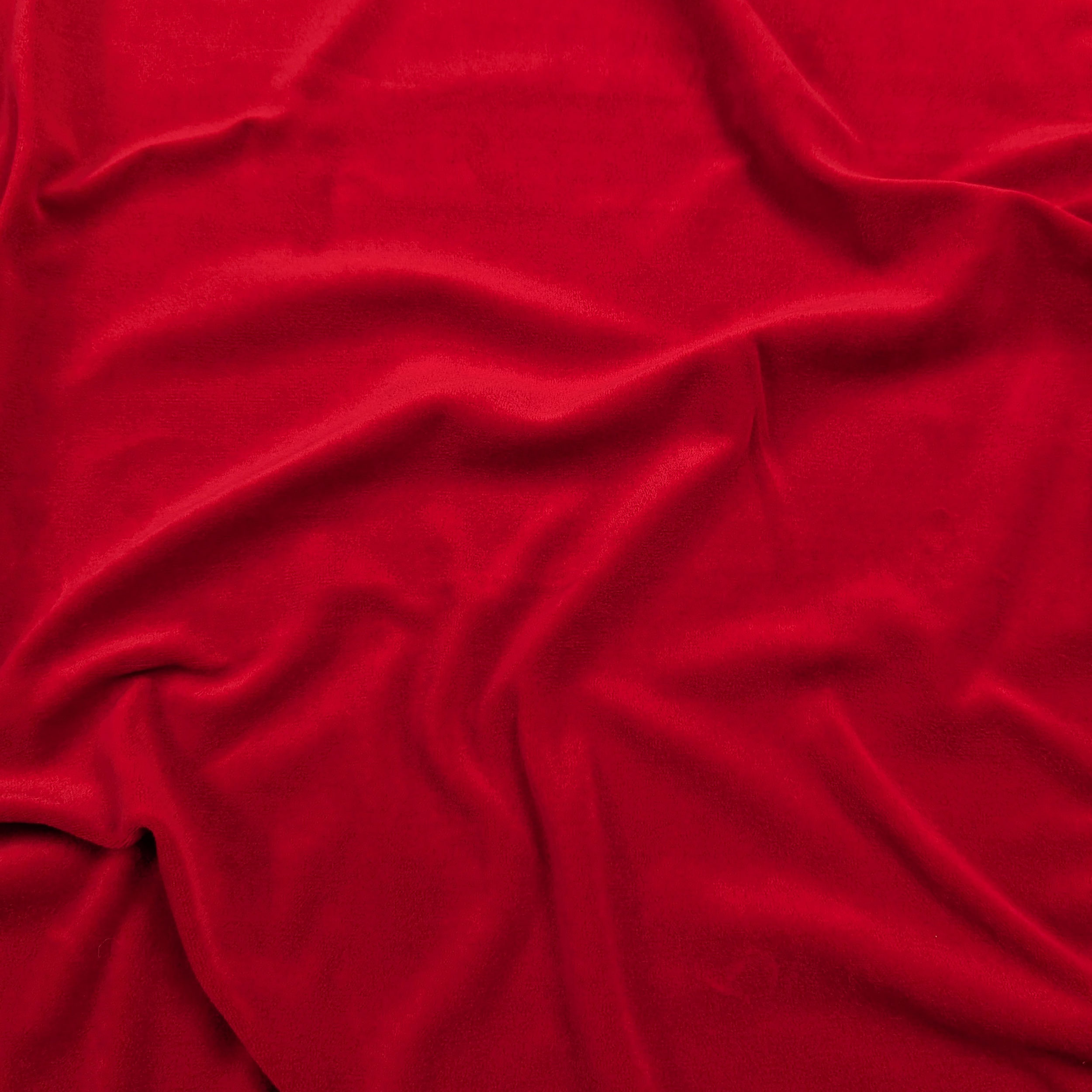 Vellutina Cotone Rosso Image
