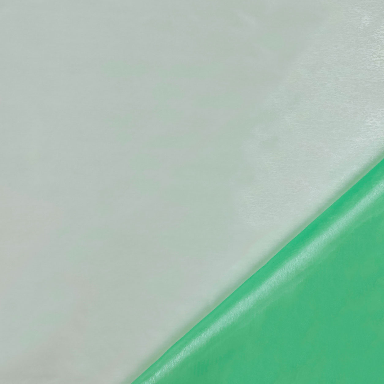 Tessuto Organza H 140 cm Image
