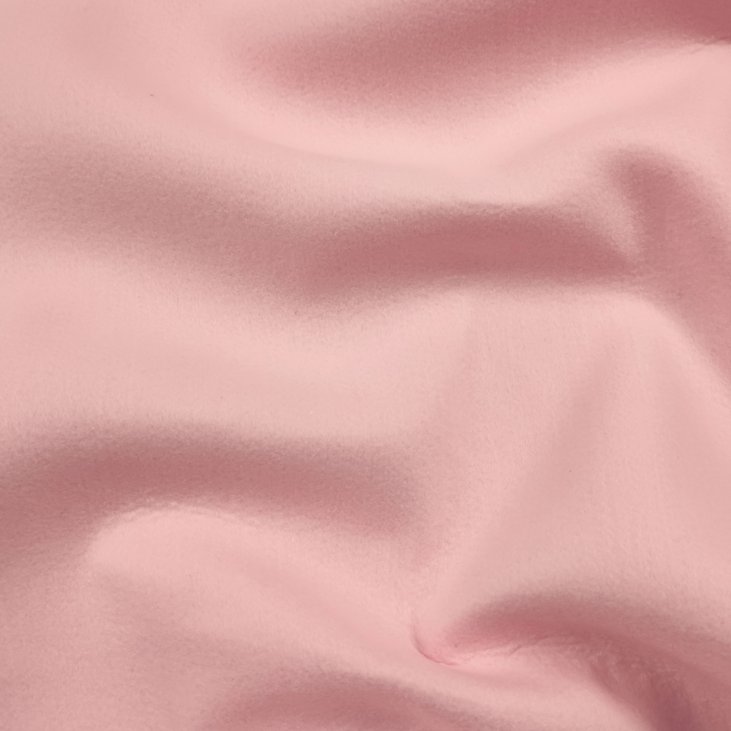 Feltro Rosa | Panini