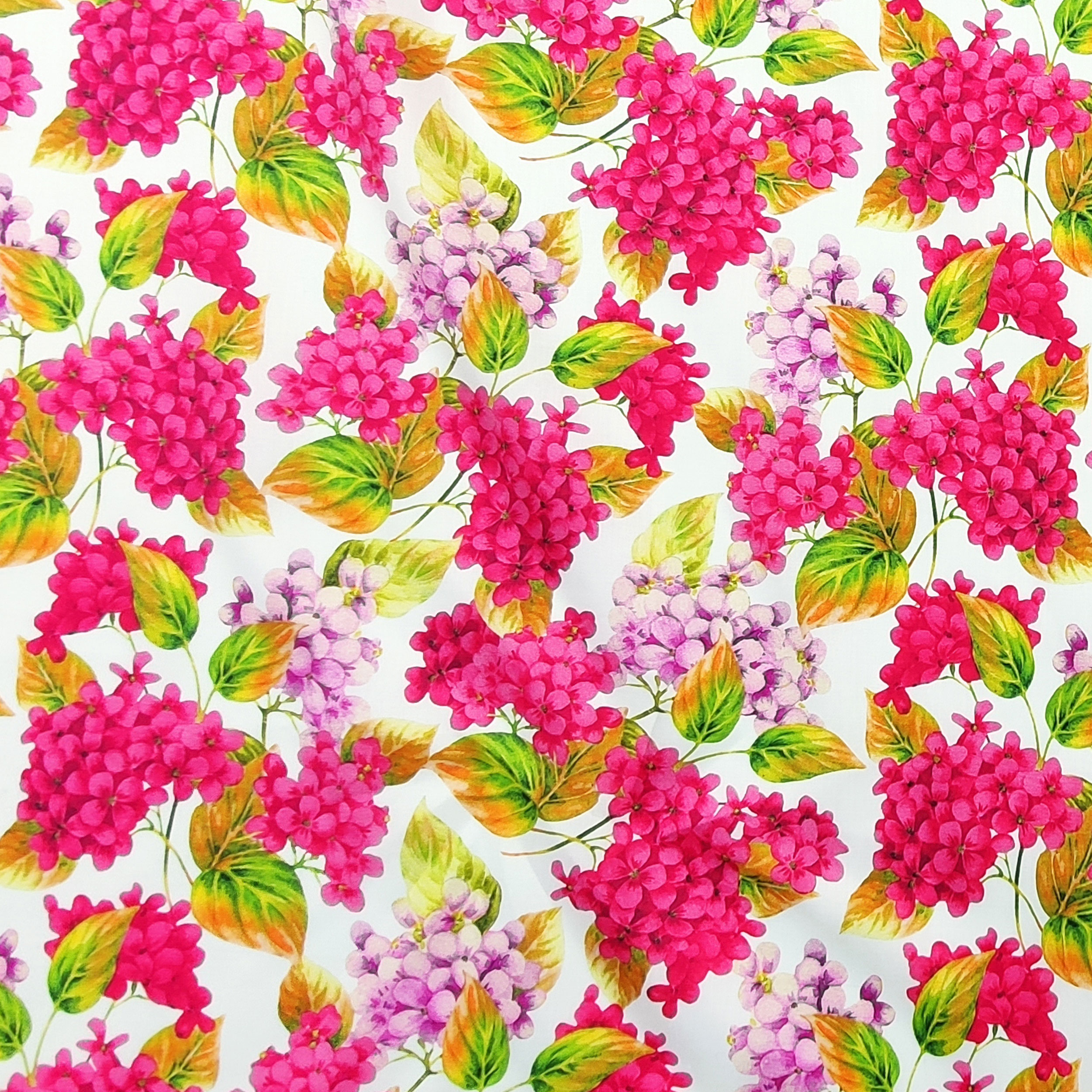 Rasatello Cotone Bianco Fiorellini in Rosa