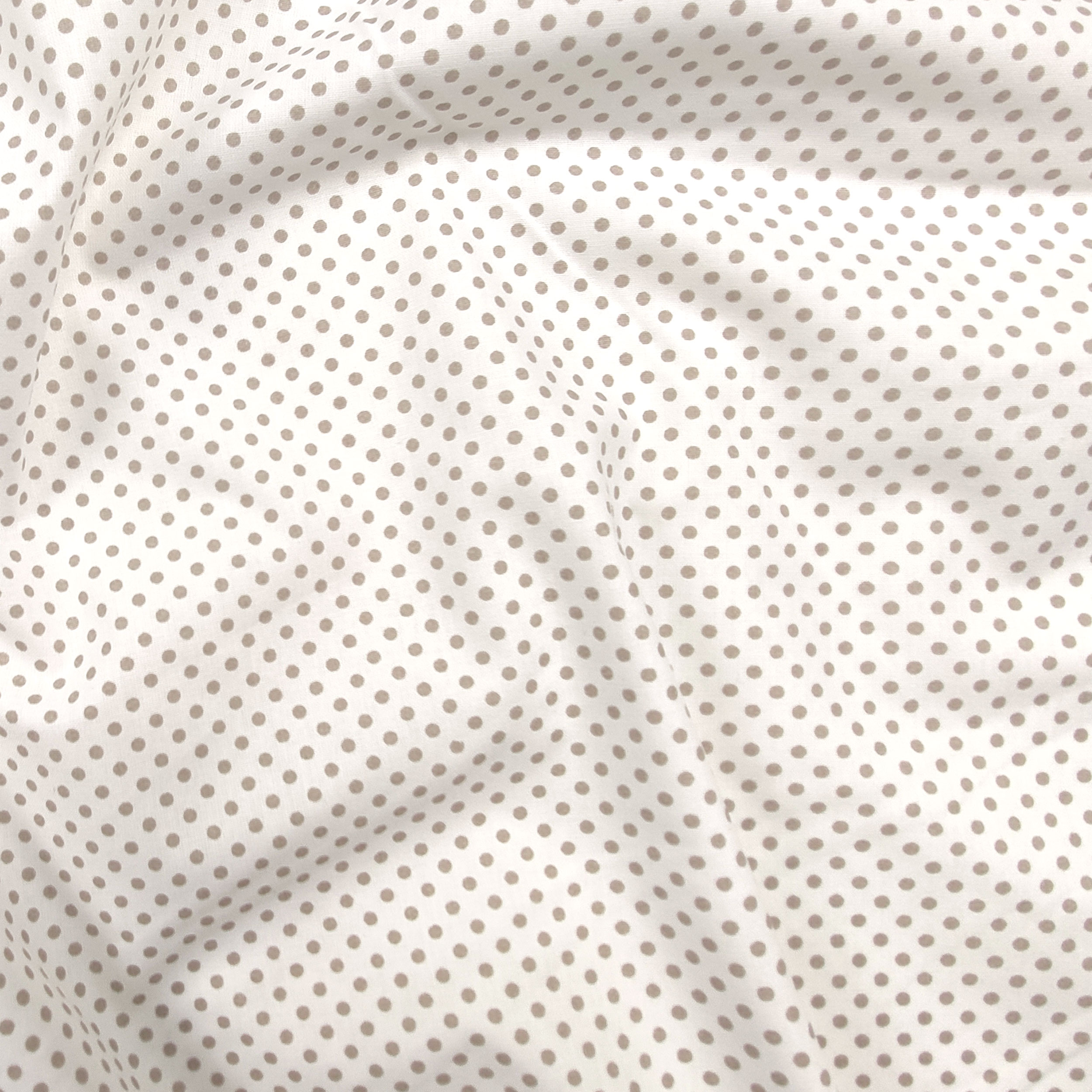 Tessuto Cotone Bianco Pois Tortora Image