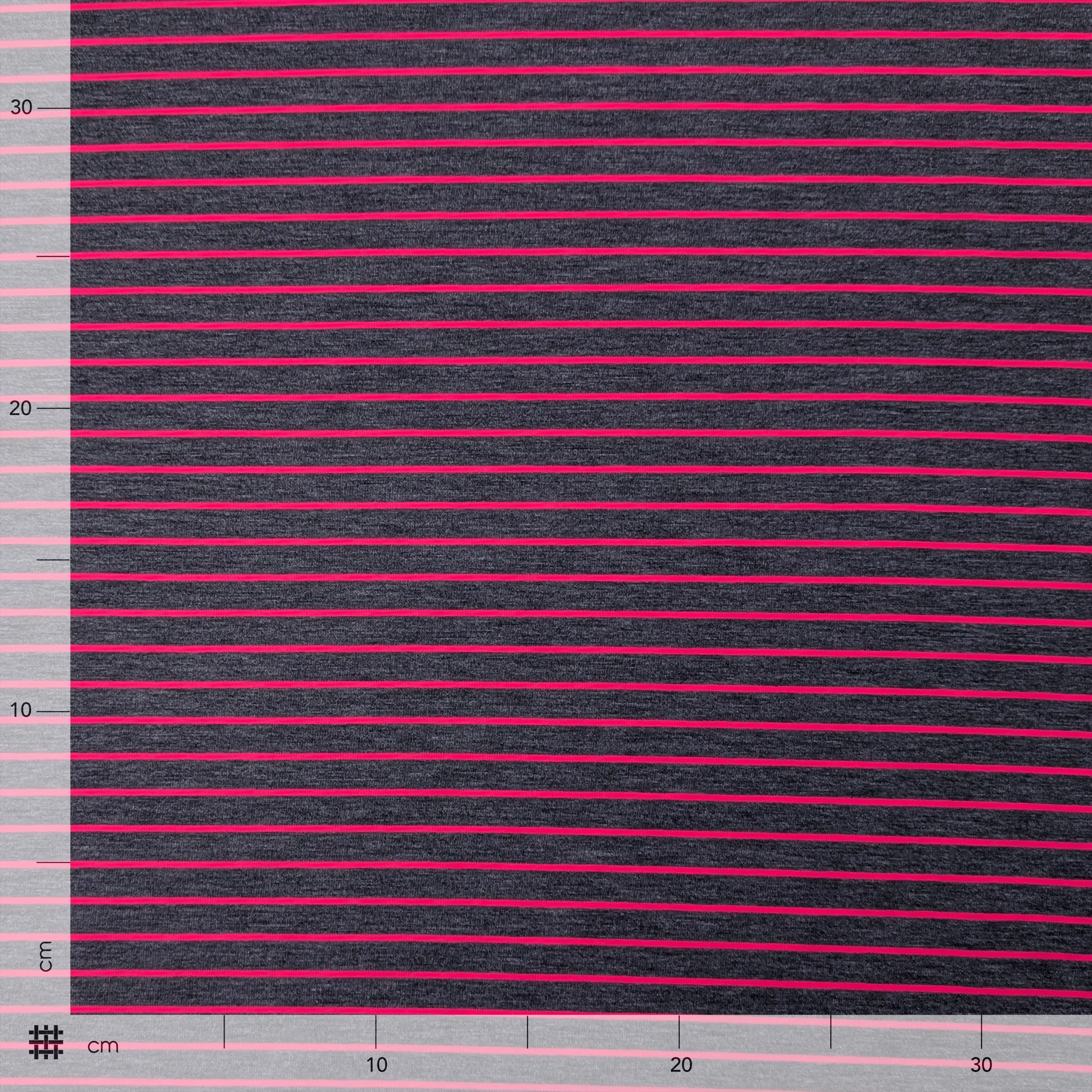 Jersey Felpato Antracite a Righe Fuxia Fluo Image