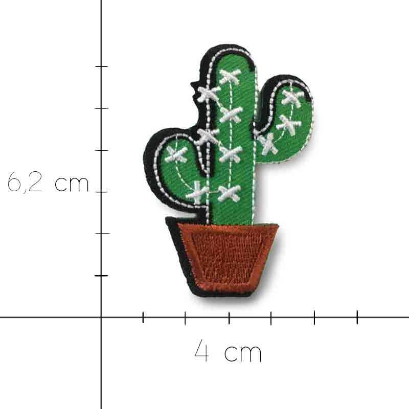 Applicazione Pianta Cactus