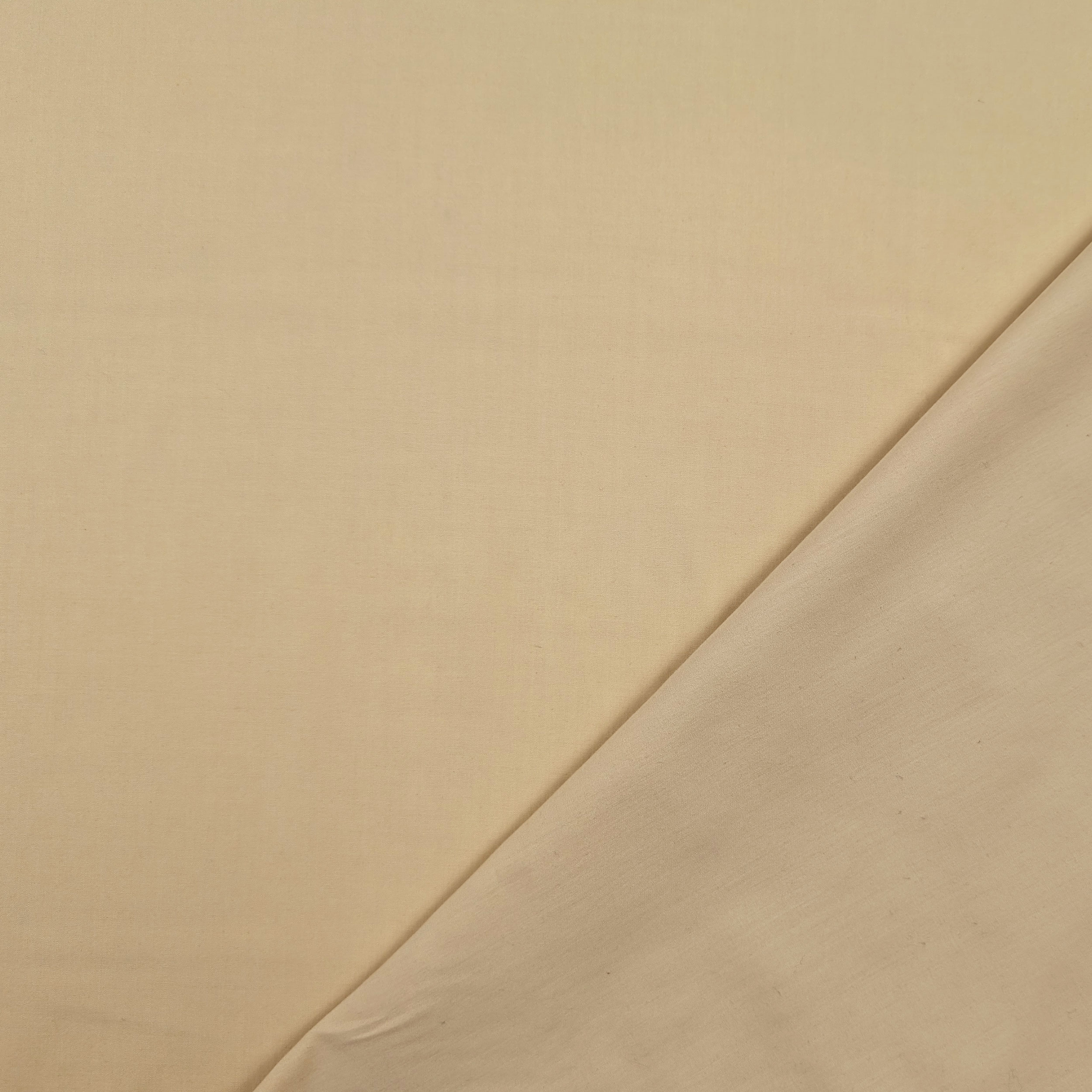 Misto Cotone Beige Chiaro Image