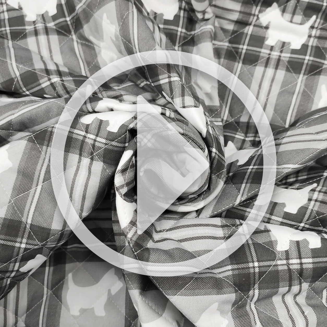 trapunta-cagnolini-sfondo-tartan-video