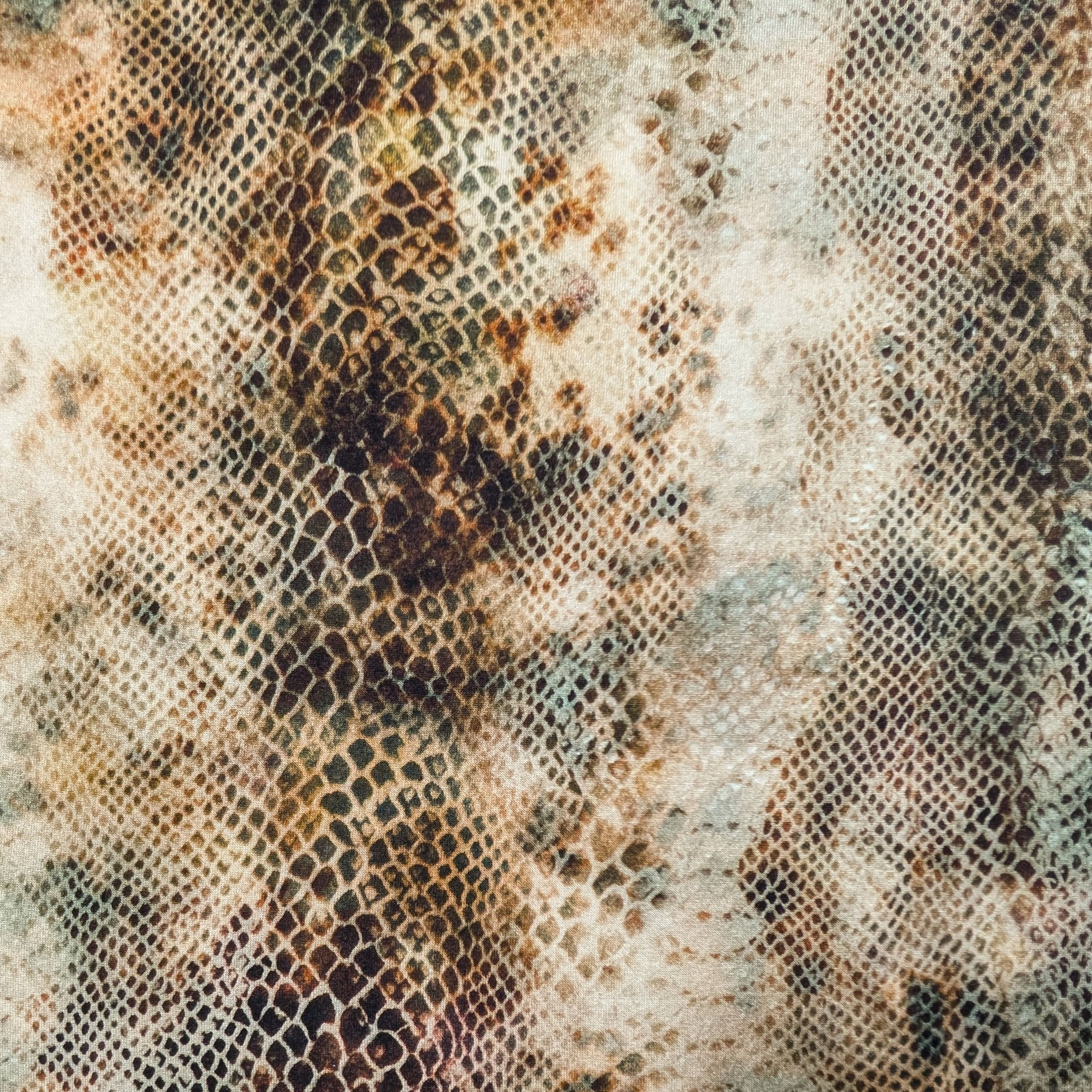 Maglina in Cotone Pitonata Image