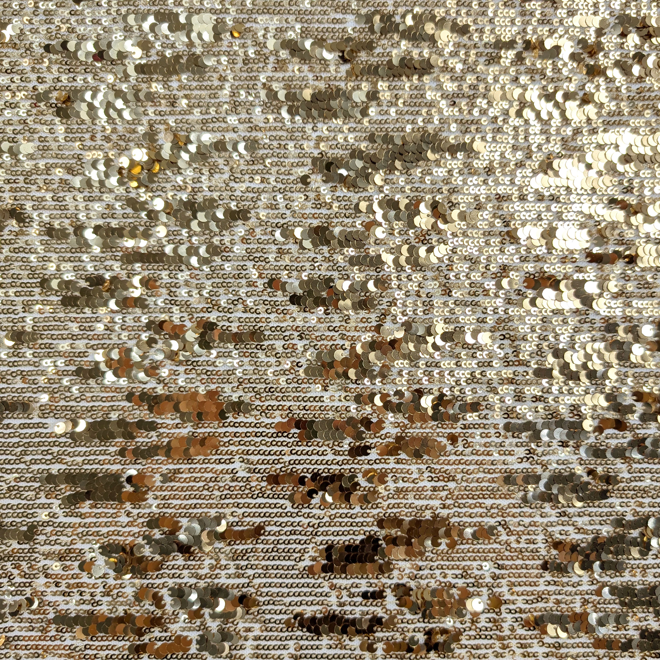 Tessuto Paillettes a Cascata su Tulle Image