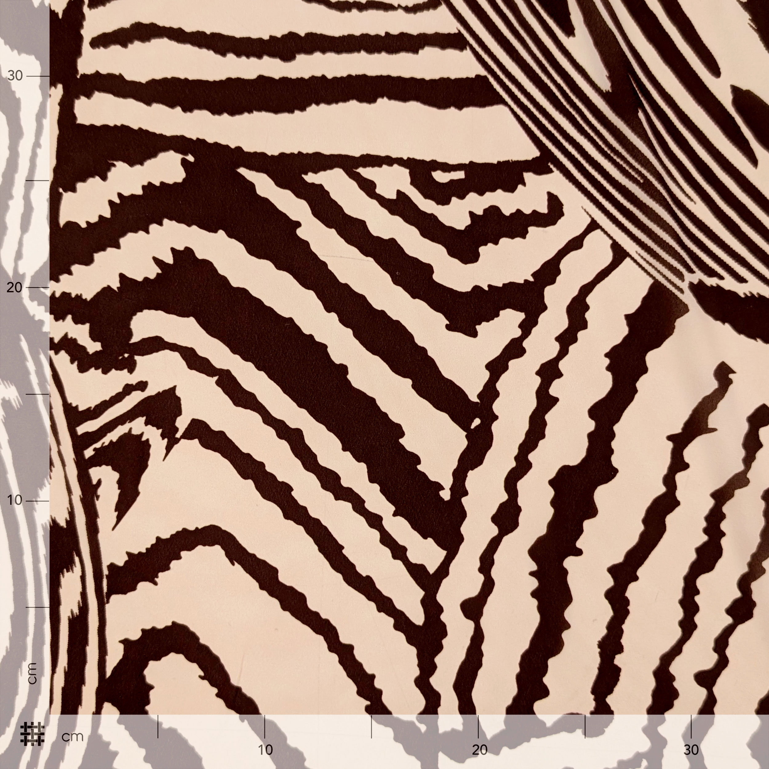 Georgette Safari Image