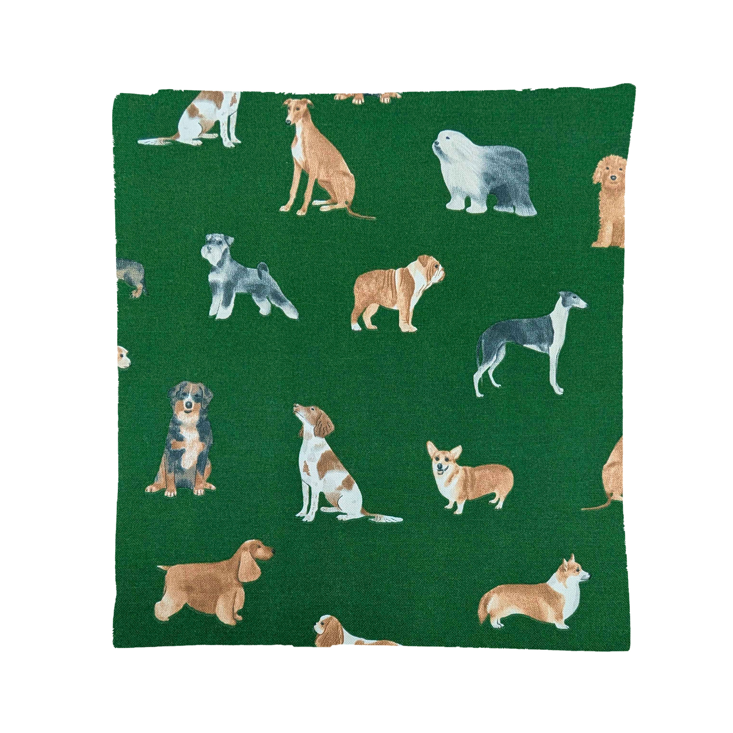 Federa per Cuscini Cani Sfondo Verde Image