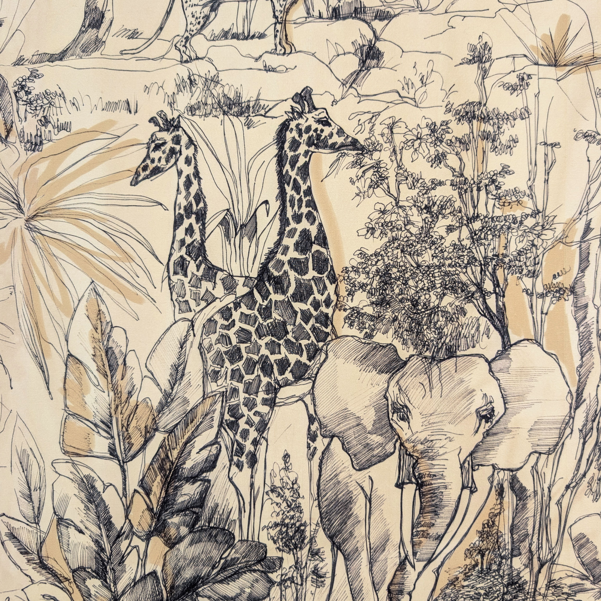 Cotone Safari Image